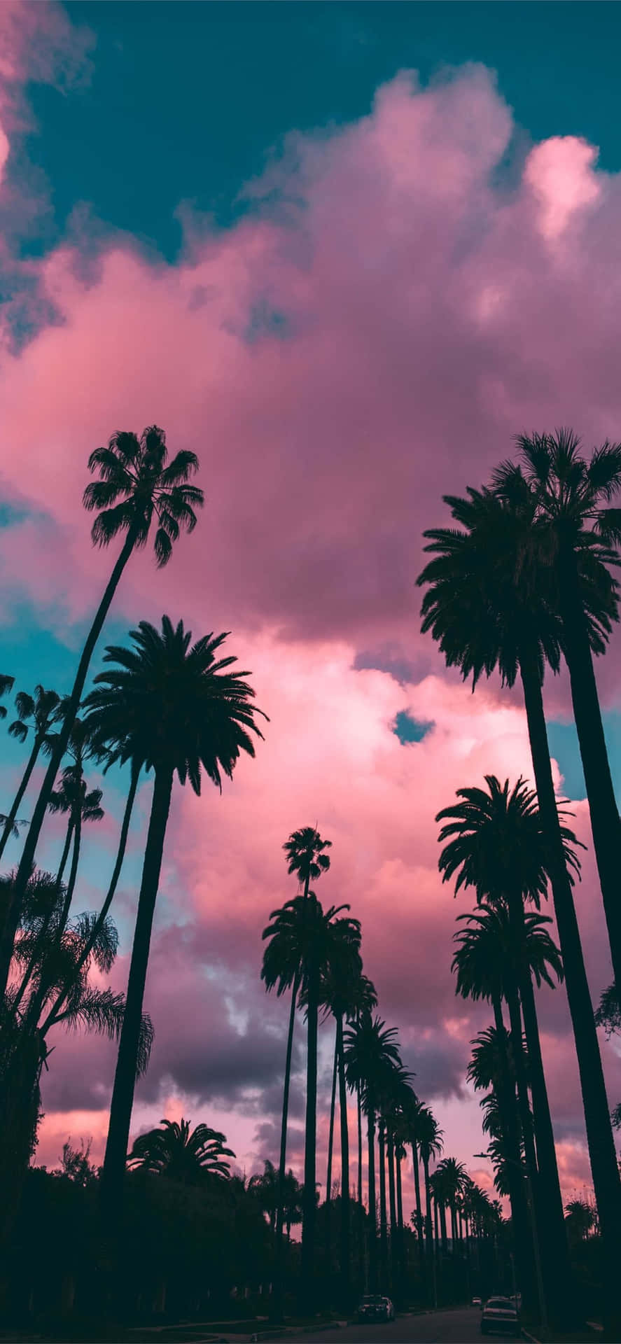 Enjoy Life In California With An Iphone Background