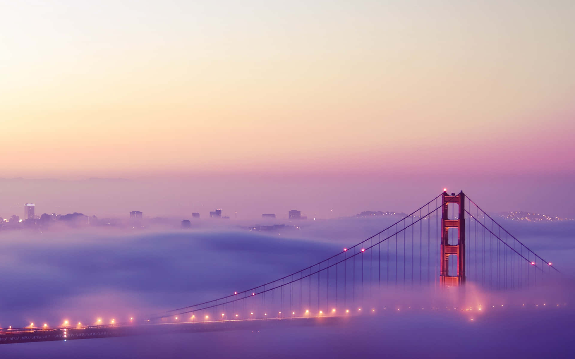 Enjoy Life In San Francisco On-the-go With A Laptop Background