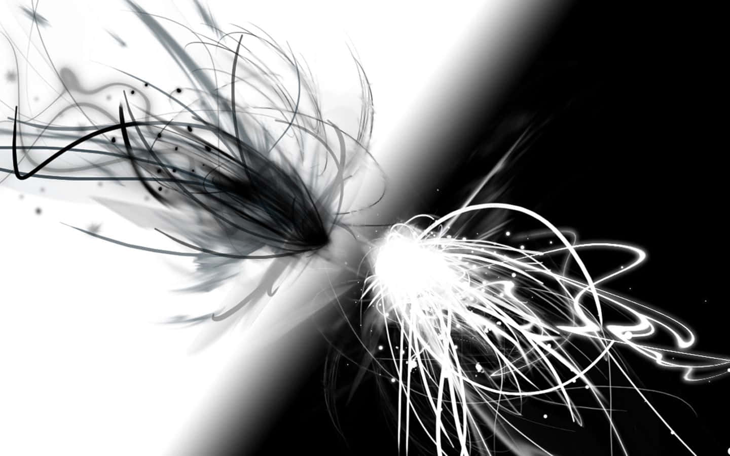 Enjoy Luxury In The Simplicity Of Black And White Background