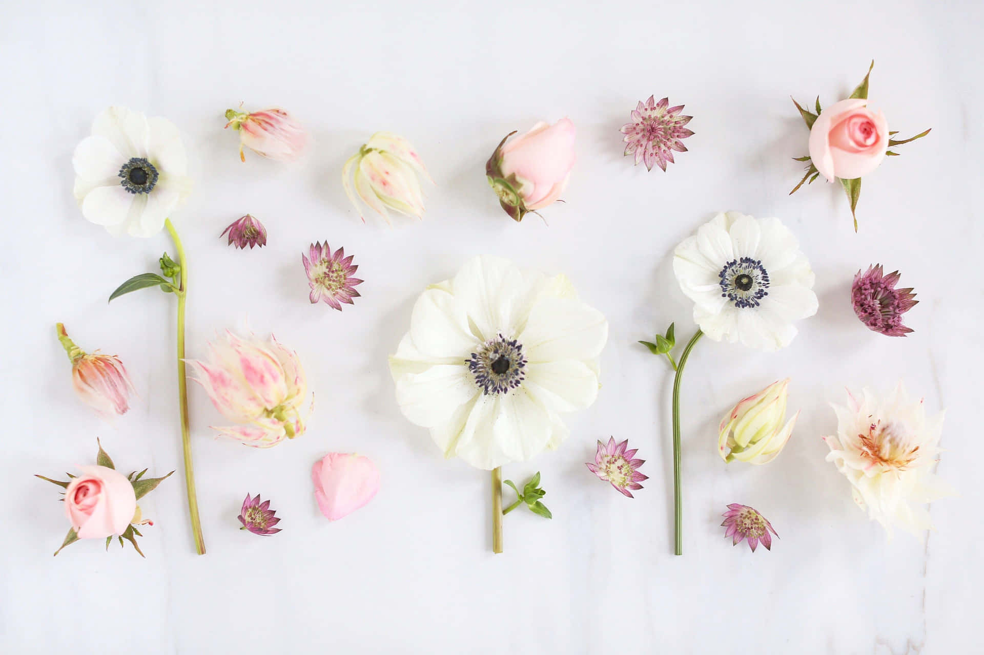 Enjoy Nature's Blooming Radiance Background