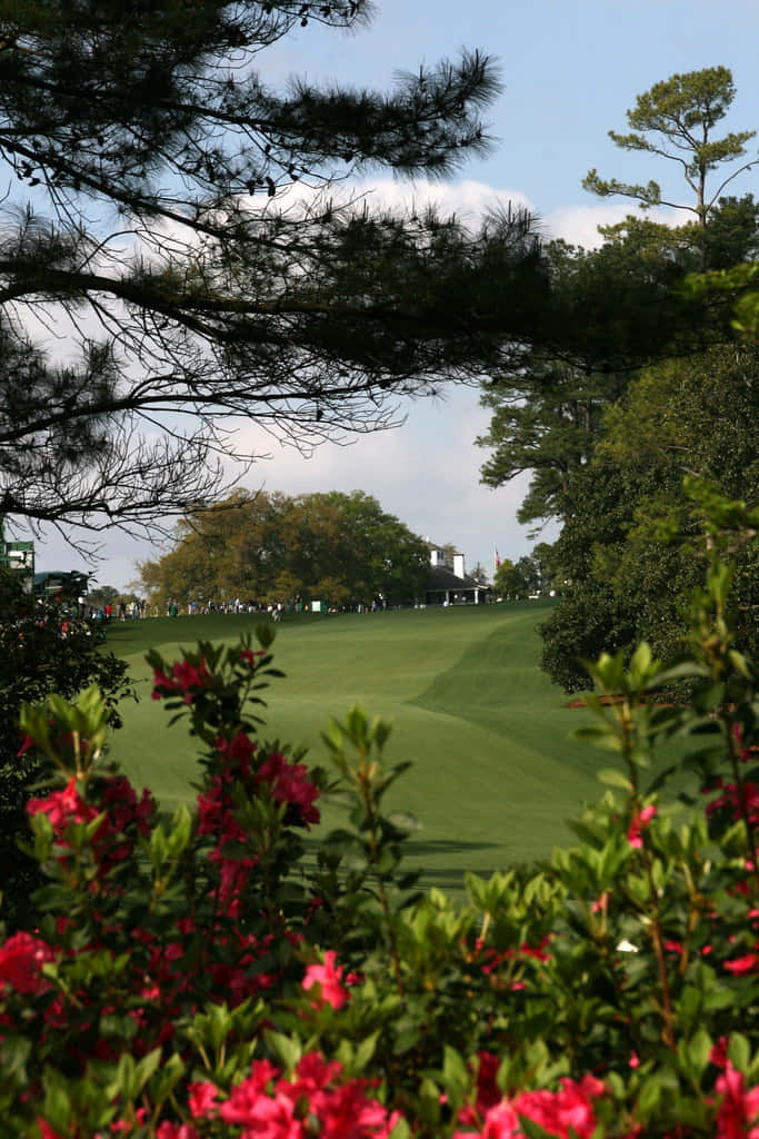 Enjoy Nature's Bounty At Augusta National Background