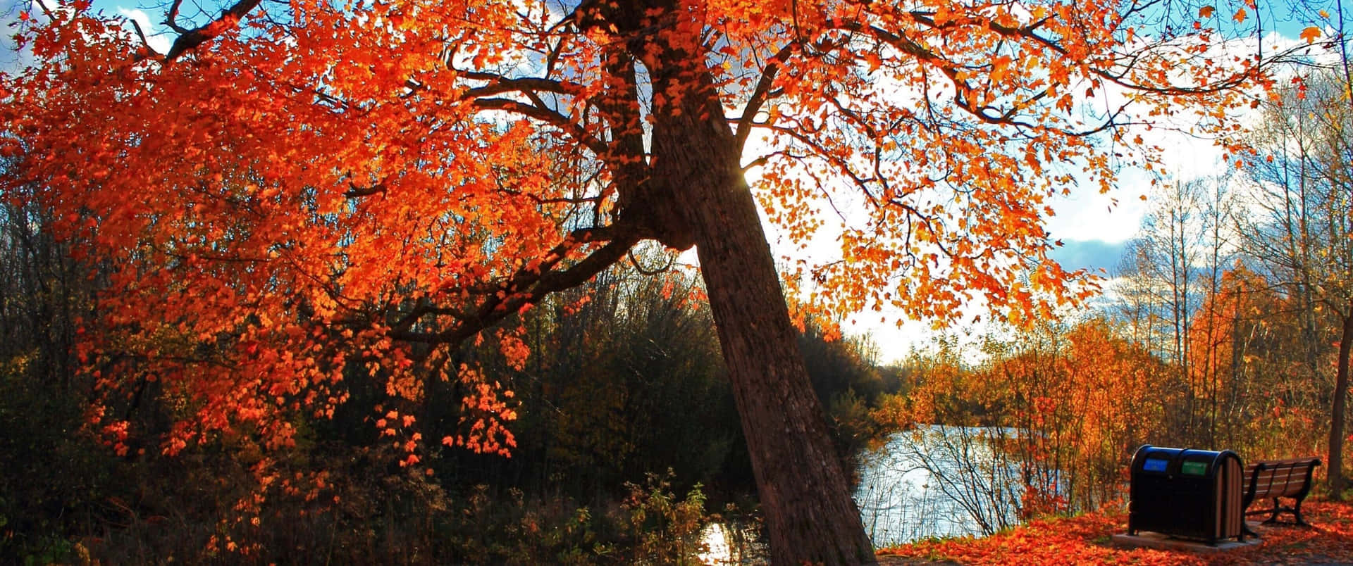 Enjoy Nature's Changing Seasons With This Gorgeous 3440x1440 Fall Landscape Background