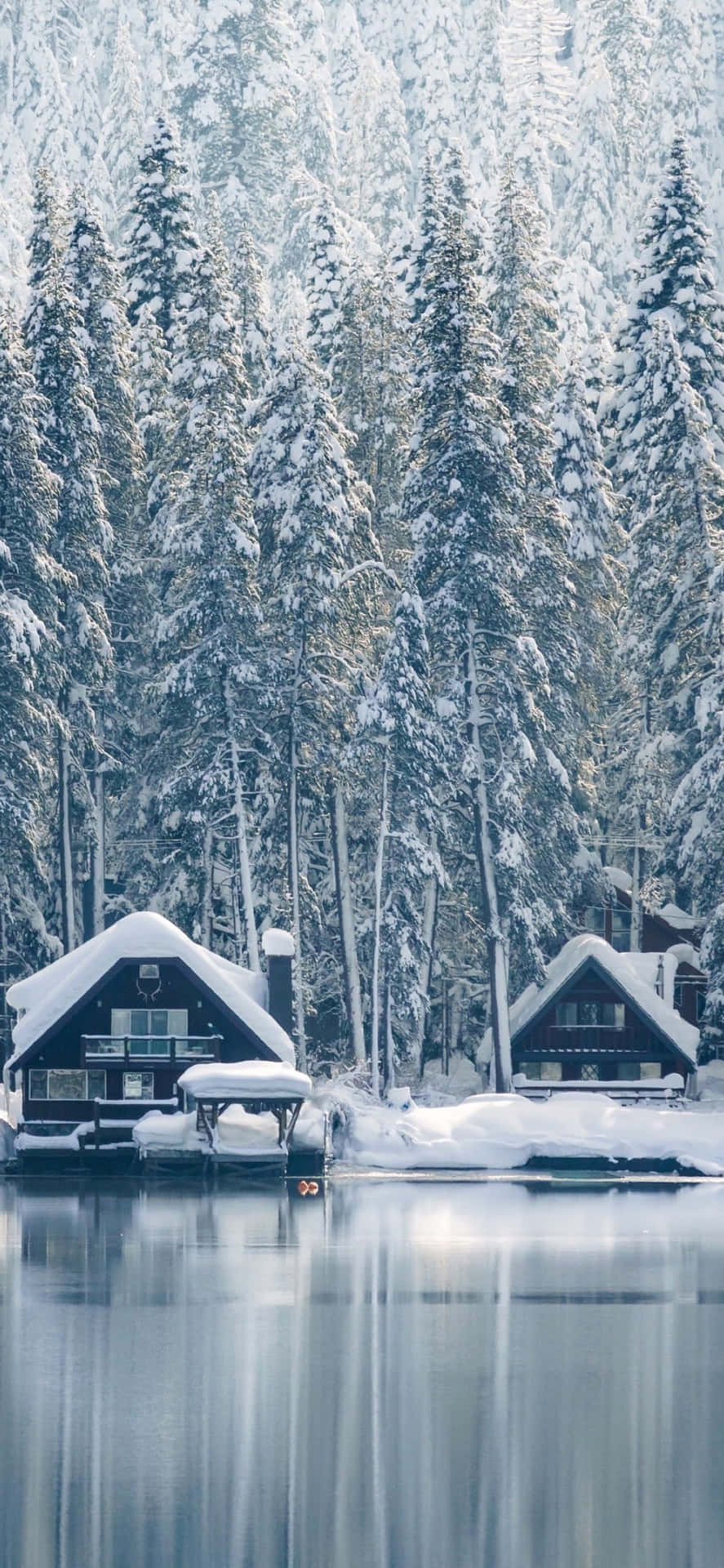 Enjoy Nature's Winter Wonderland With The Snow Iphone Background