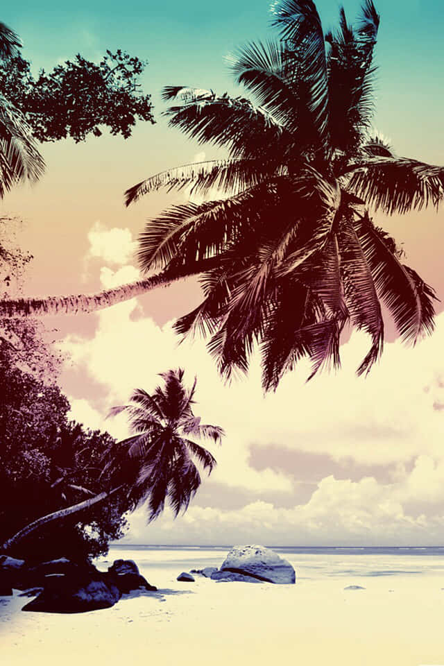 Enjoy Some Relax Under The Sun With A Beautiful Landscape View. Background