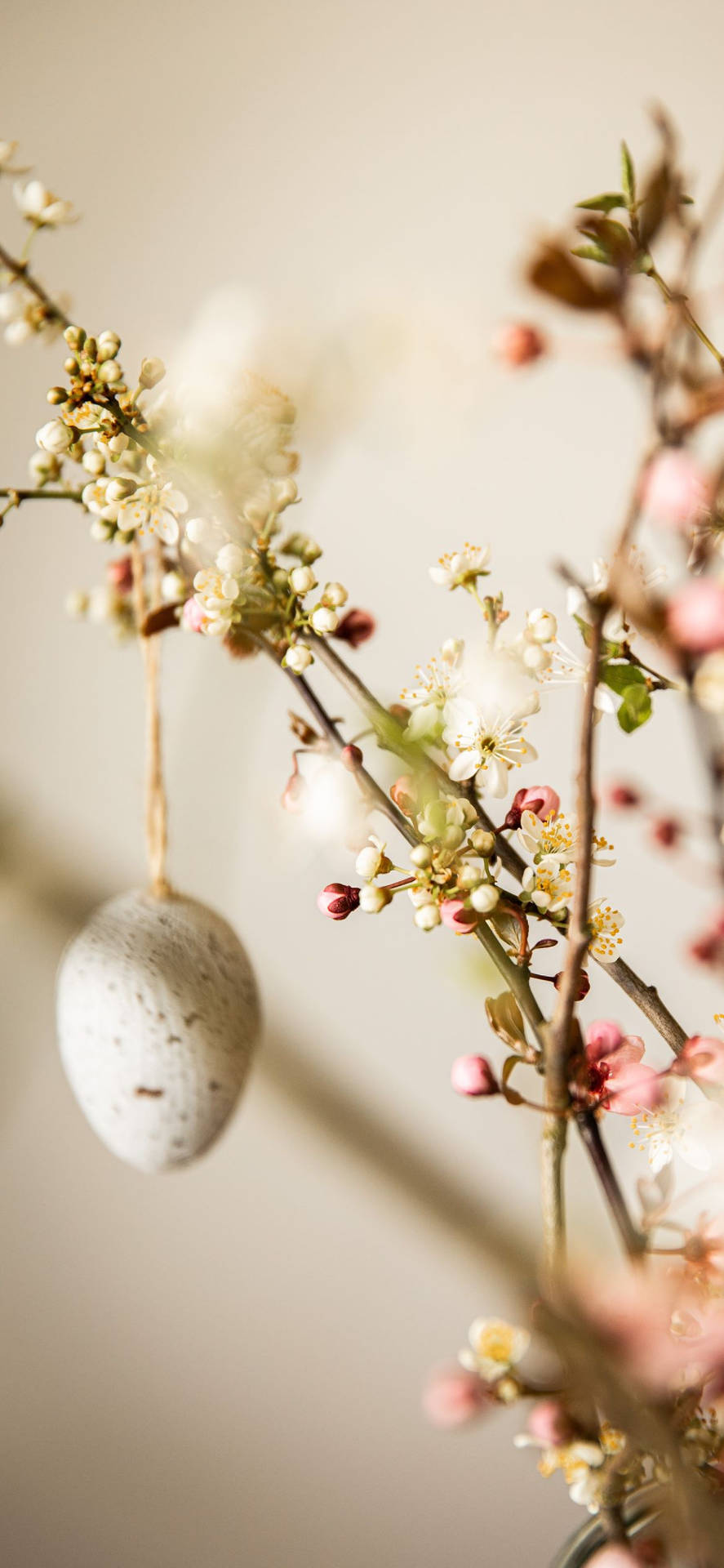 Enjoy Tasteful Easter Celebrations With Chic Decorations And Pastel Colors. Background