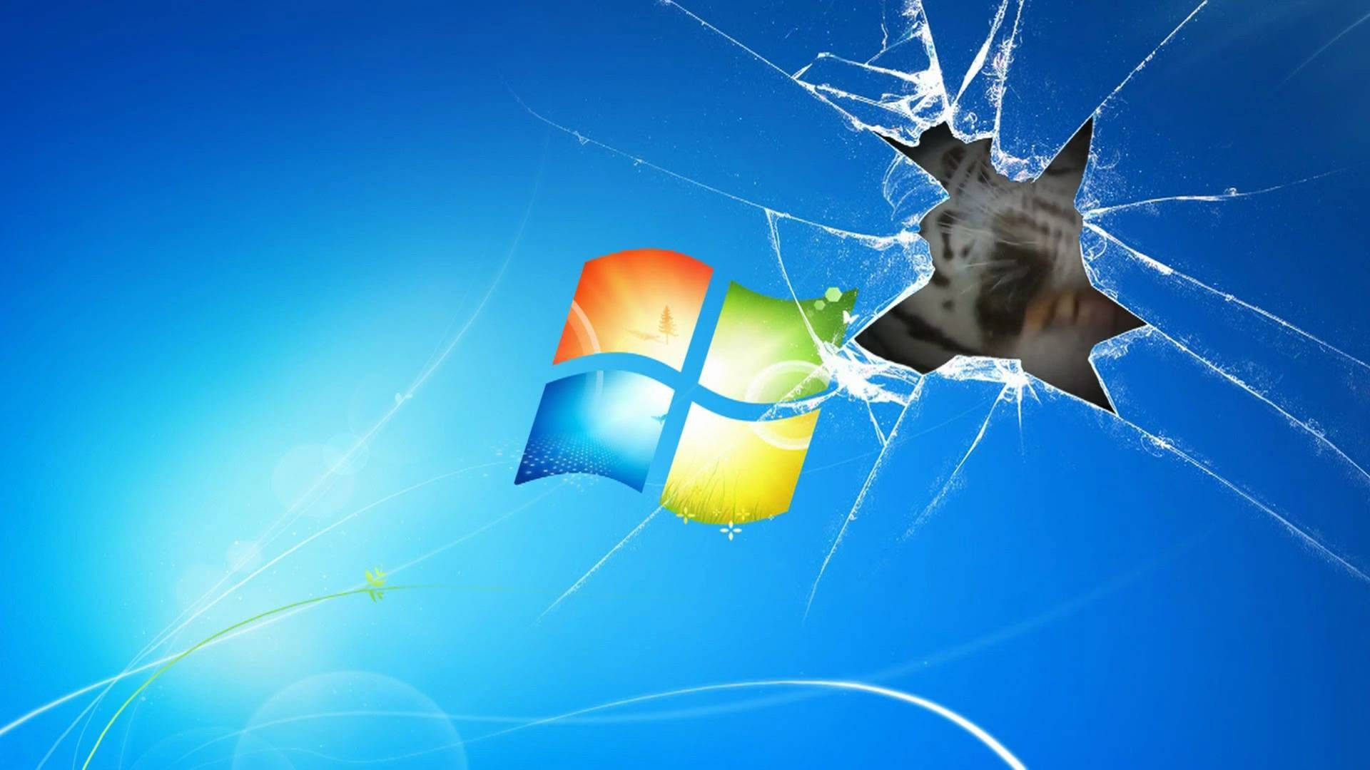 Enjoy The Animated Colorful Window Of Windows 7 Background