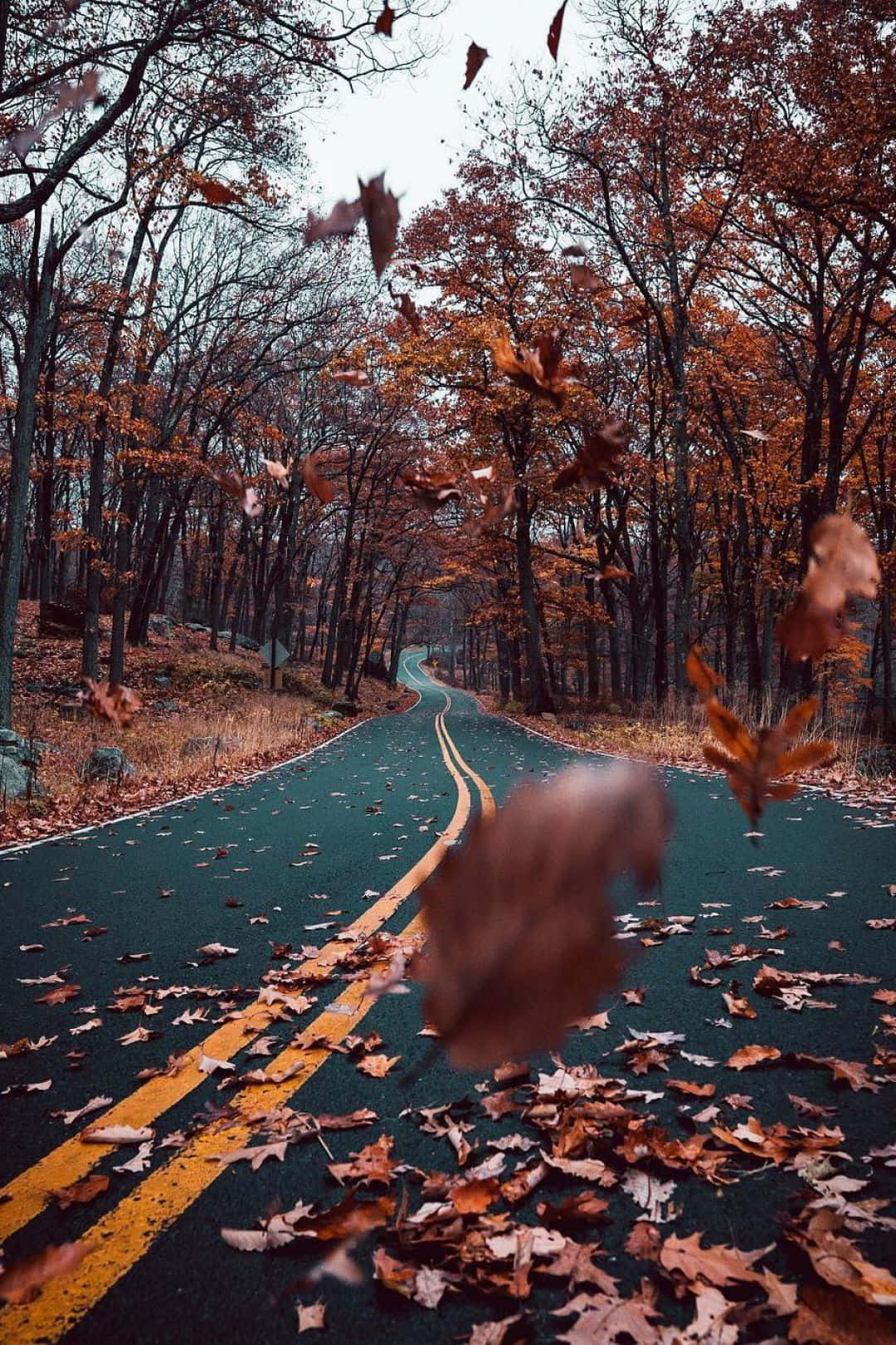 Enjoy The Autumn Season With A Vintage-themed Look! Background