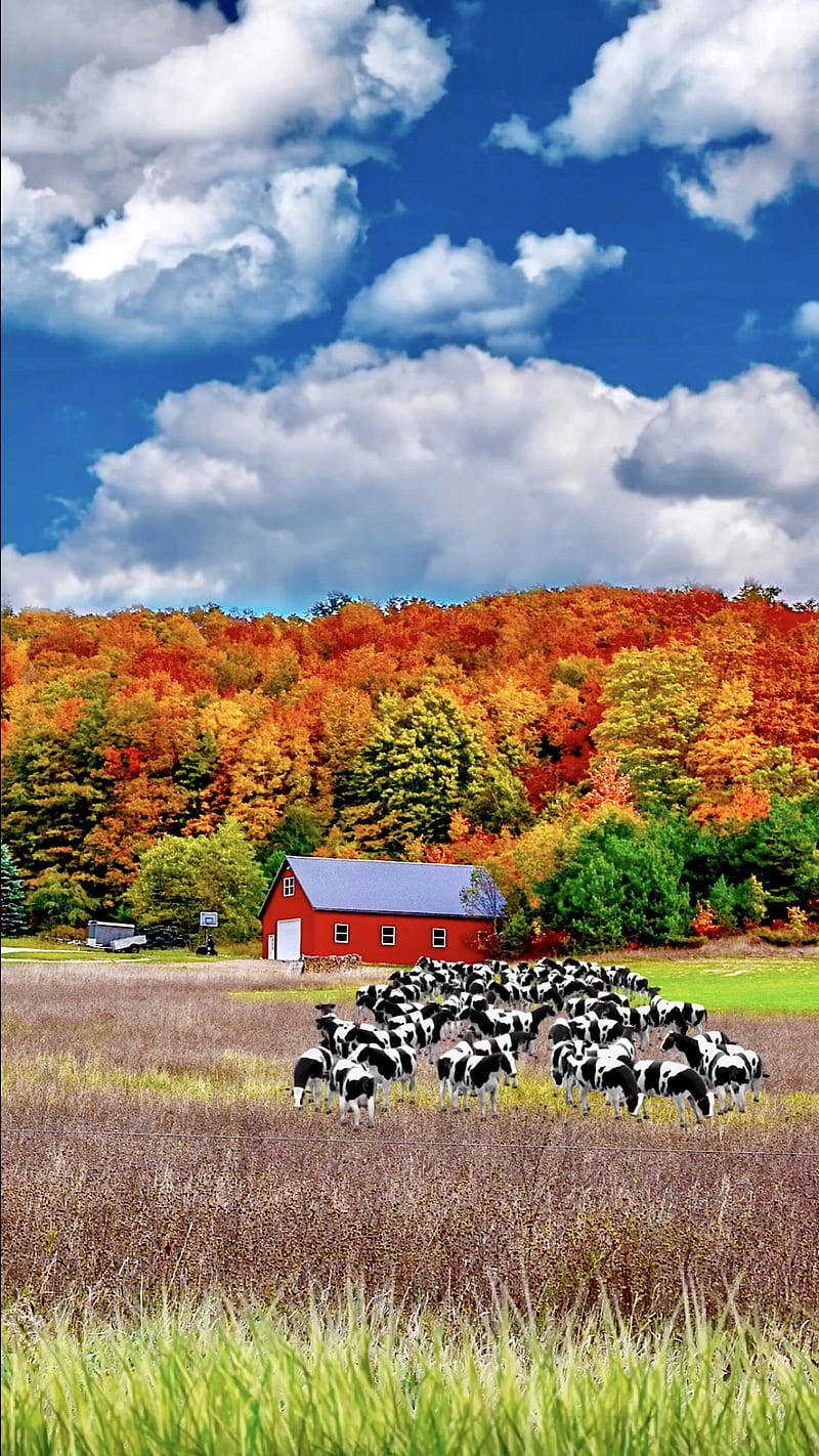 Enjoy The Autumn View At The Fall Farm Background