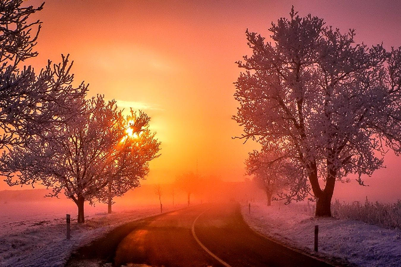 Enjoy The Autumnal Splendor Of A November Road