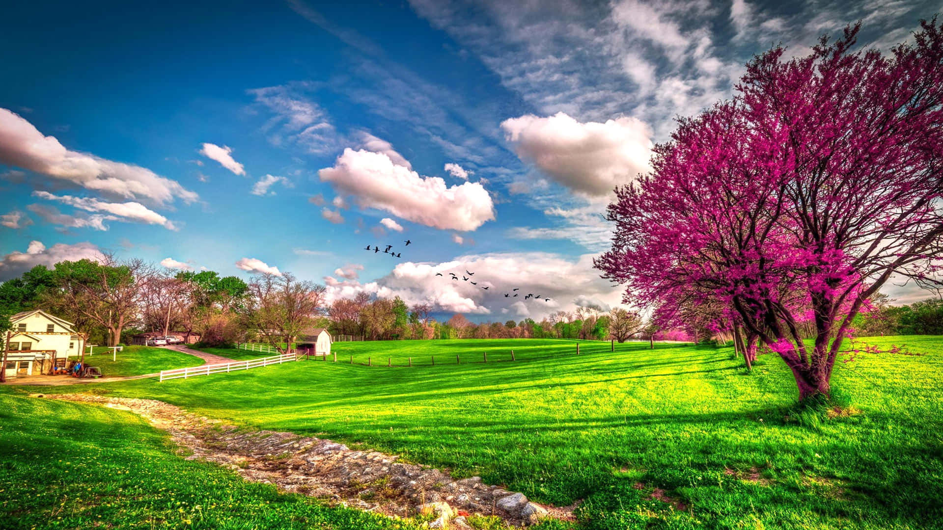 Enjoy The Beautiful Colors Of Spring With This Gorgeous Cute Spring Desktop Wallpaper Background