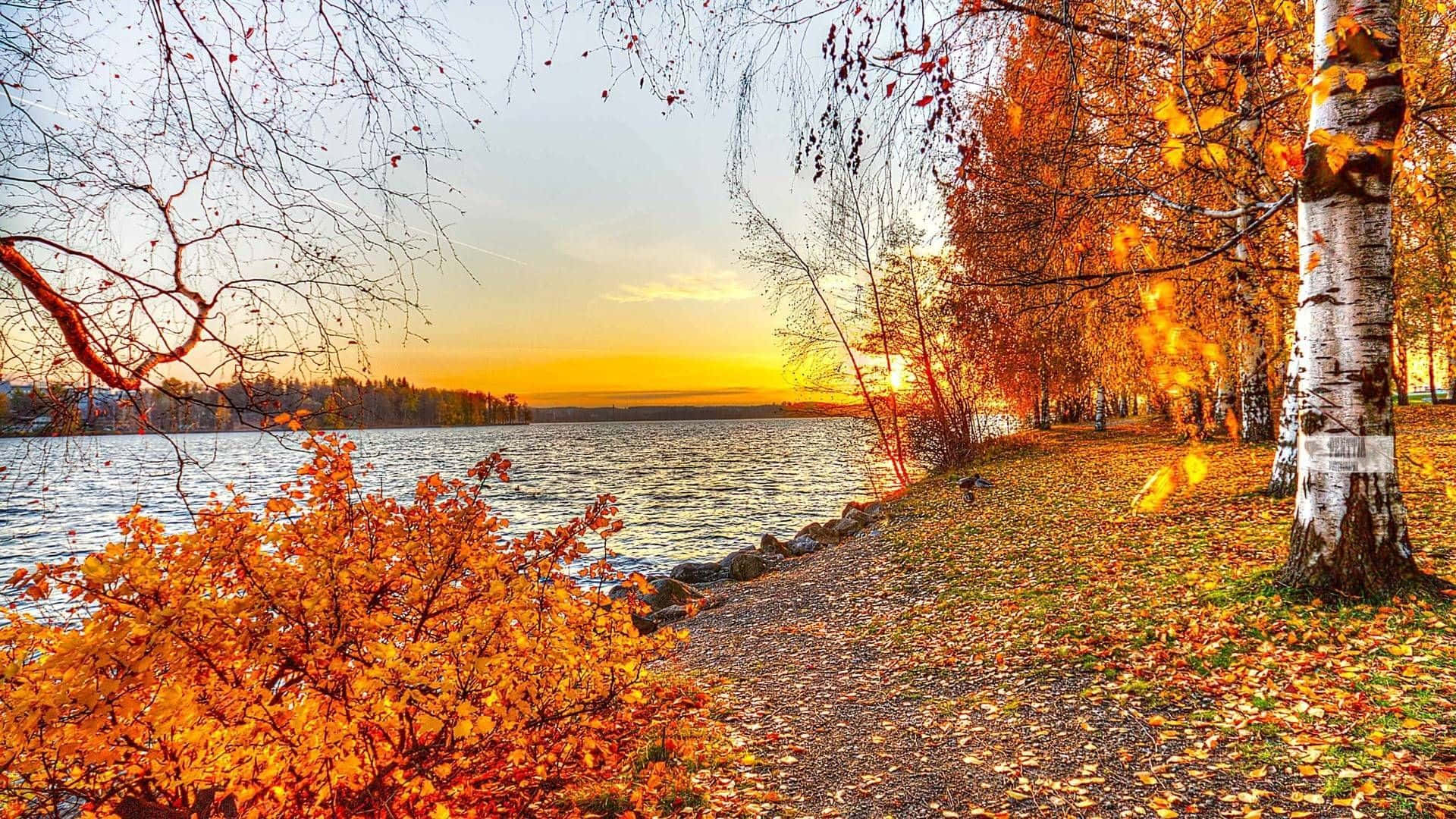 Enjoy The Beautiful Scenery Of Winter In New Hampshire Background