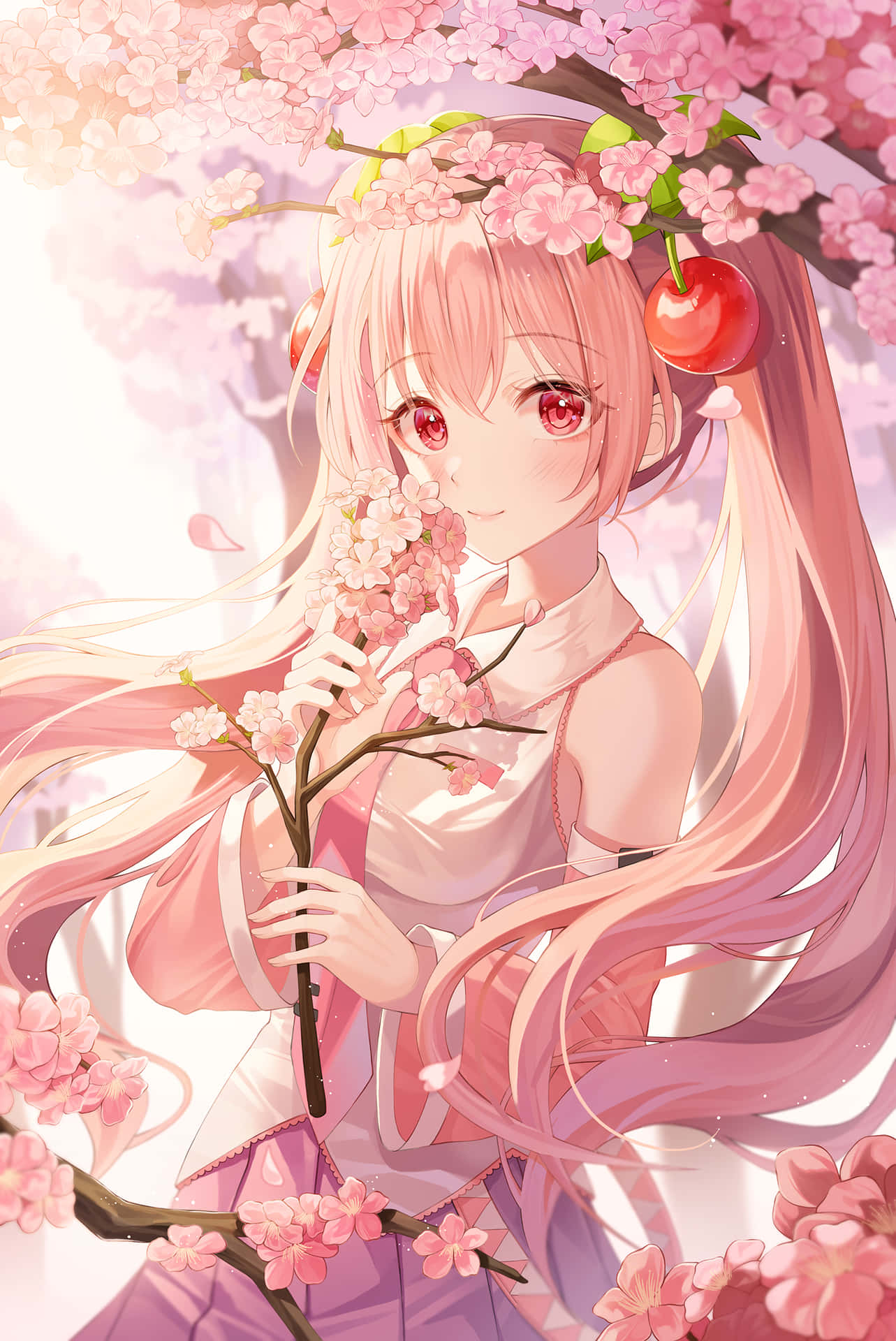 Enjoy The Beauty And Bliss Of Sakura Miku Background