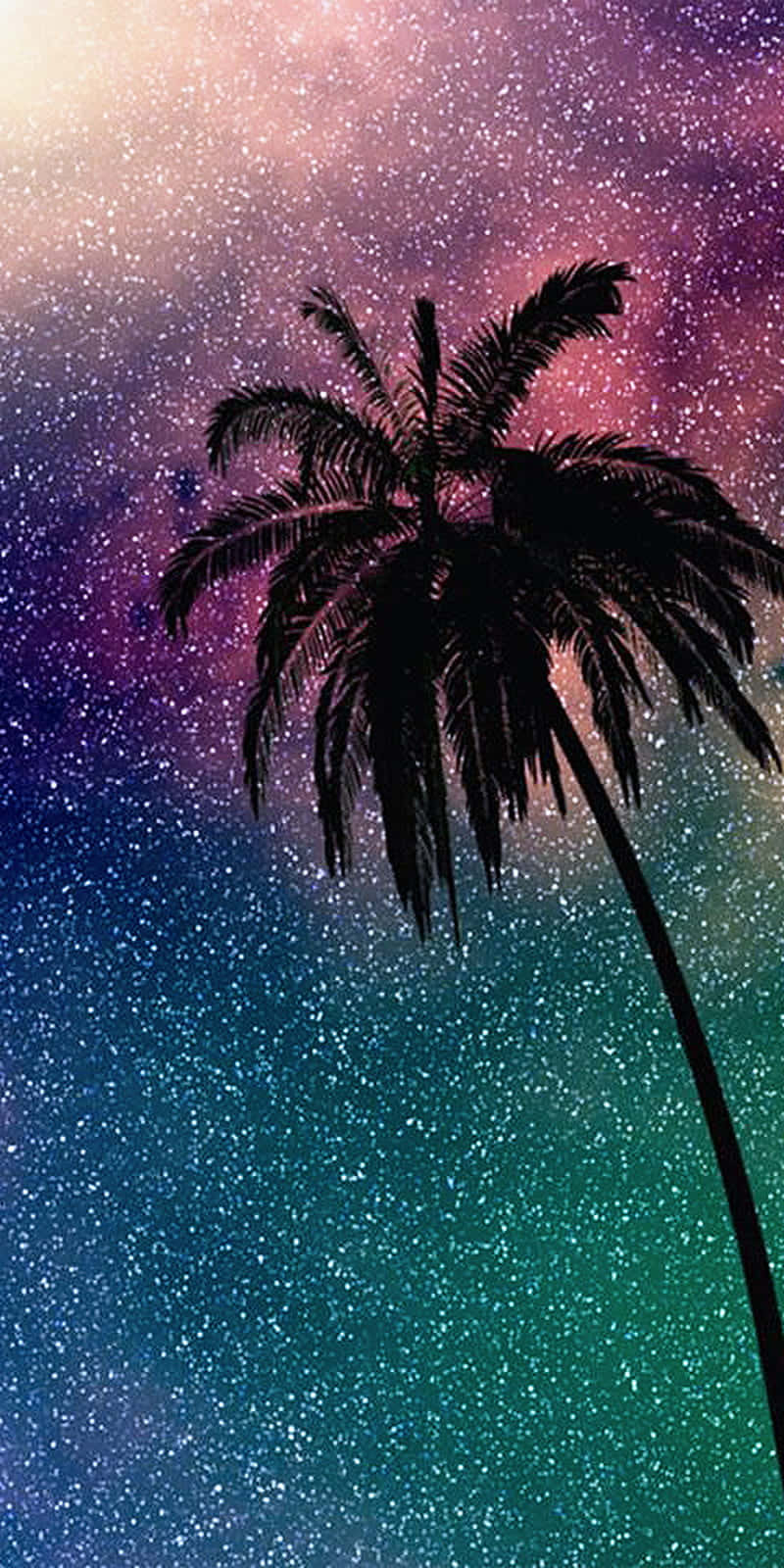 Enjoy The Beauty And Tranquility Of A Cute Palm Tree Background