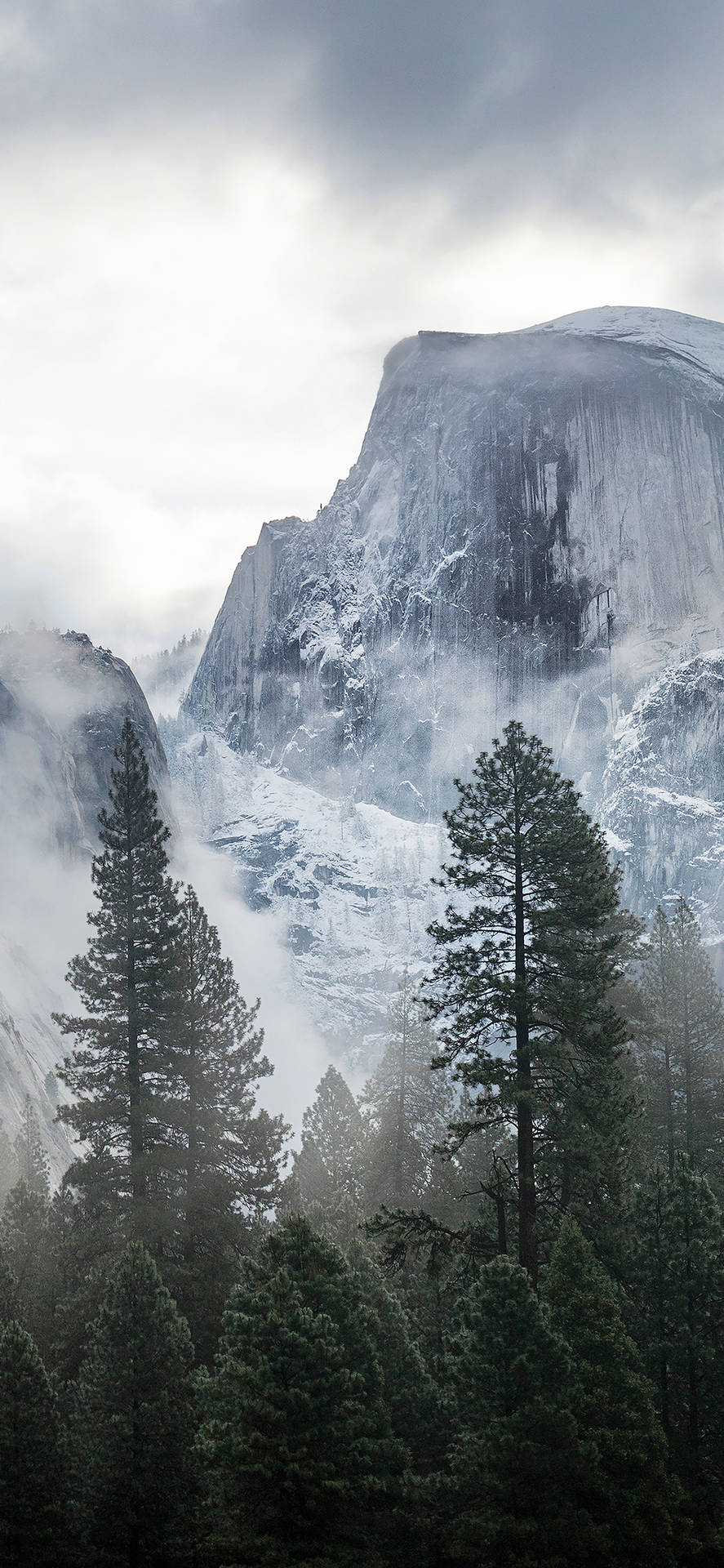 Enjoy The Beauty And Wonders Of Yosemite From Your Iphone Background