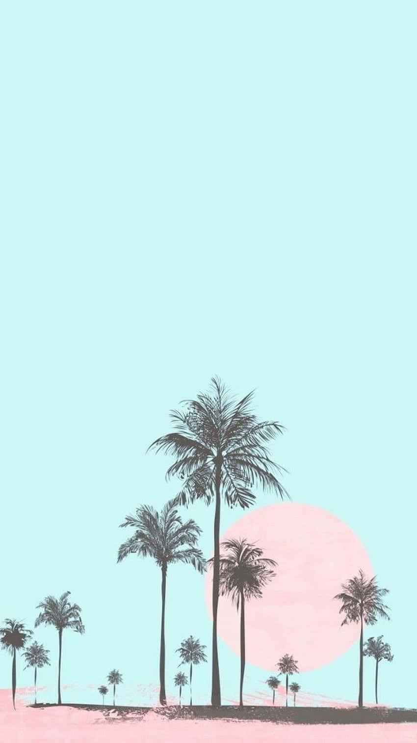 Enjoy The Beauty Of A Cute Palm Tree! Background