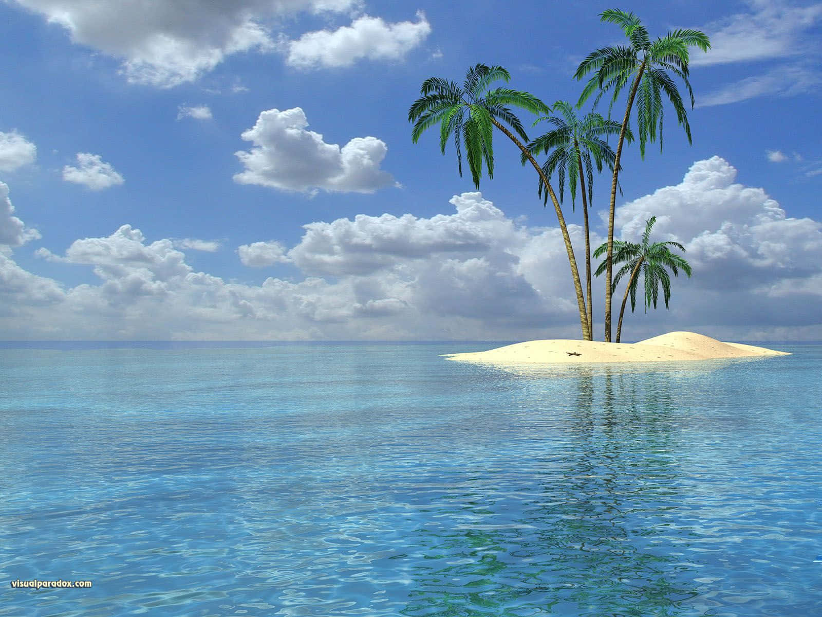 Enjoy The Beauty Of A Cute Palm Tree Background