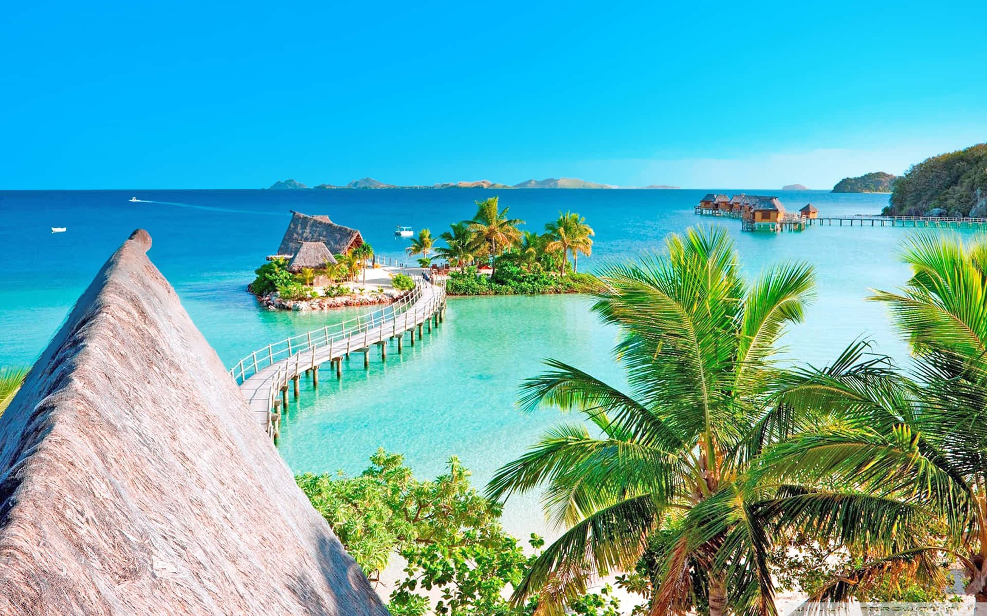 Enjoy The Beauty Of A Cute Tropical Scene Background