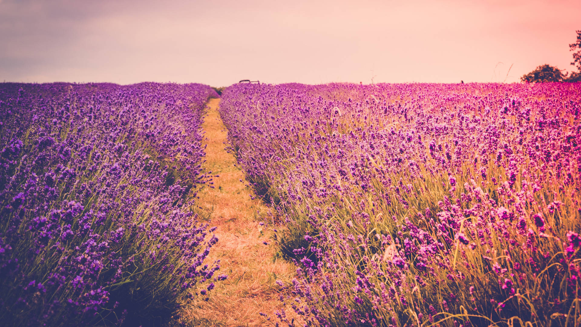 Enjoy The Beauty Of A Peaceful Countryside Background