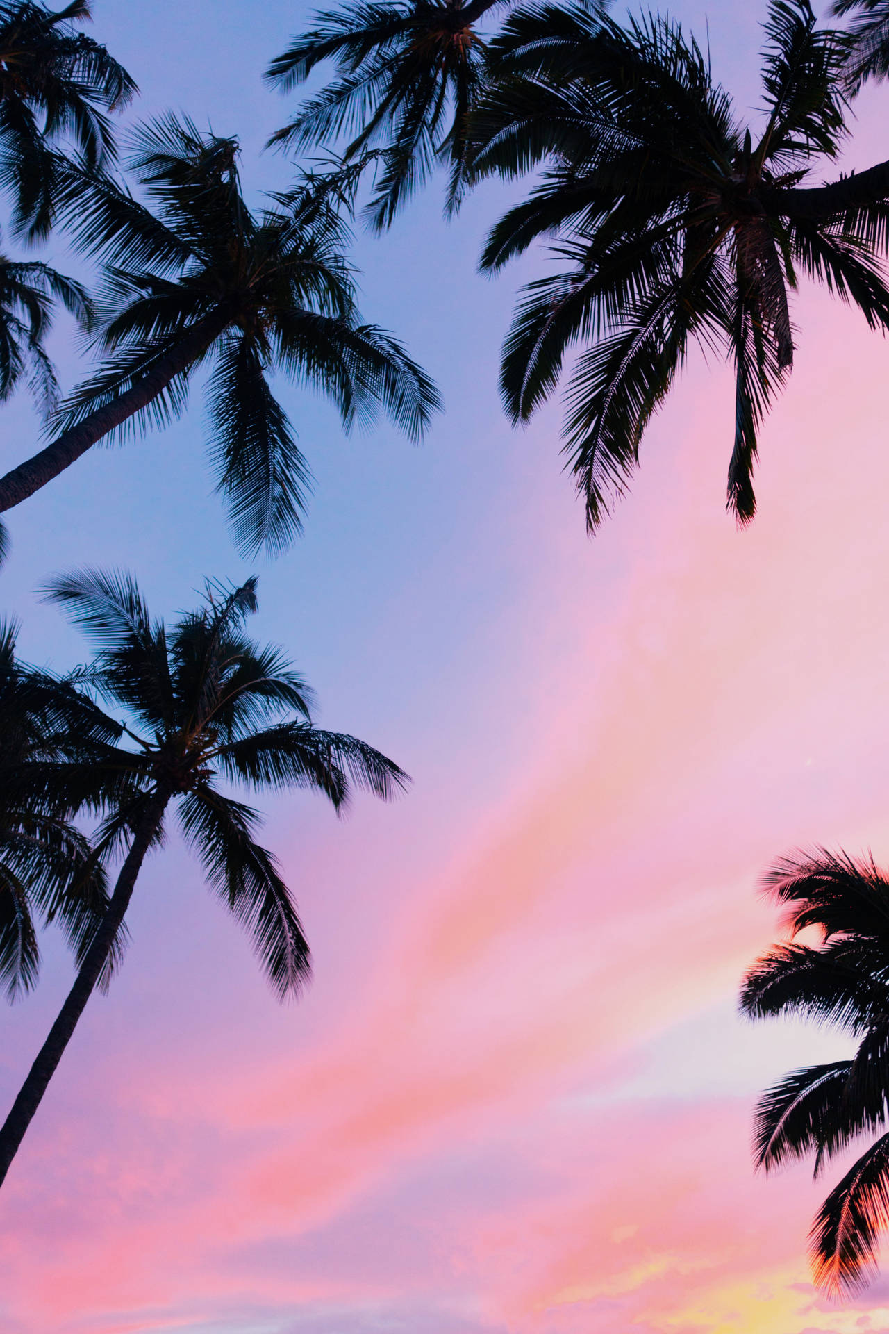 Enjoy The Beauty Of A Pink Sunset With Your Iphone Background