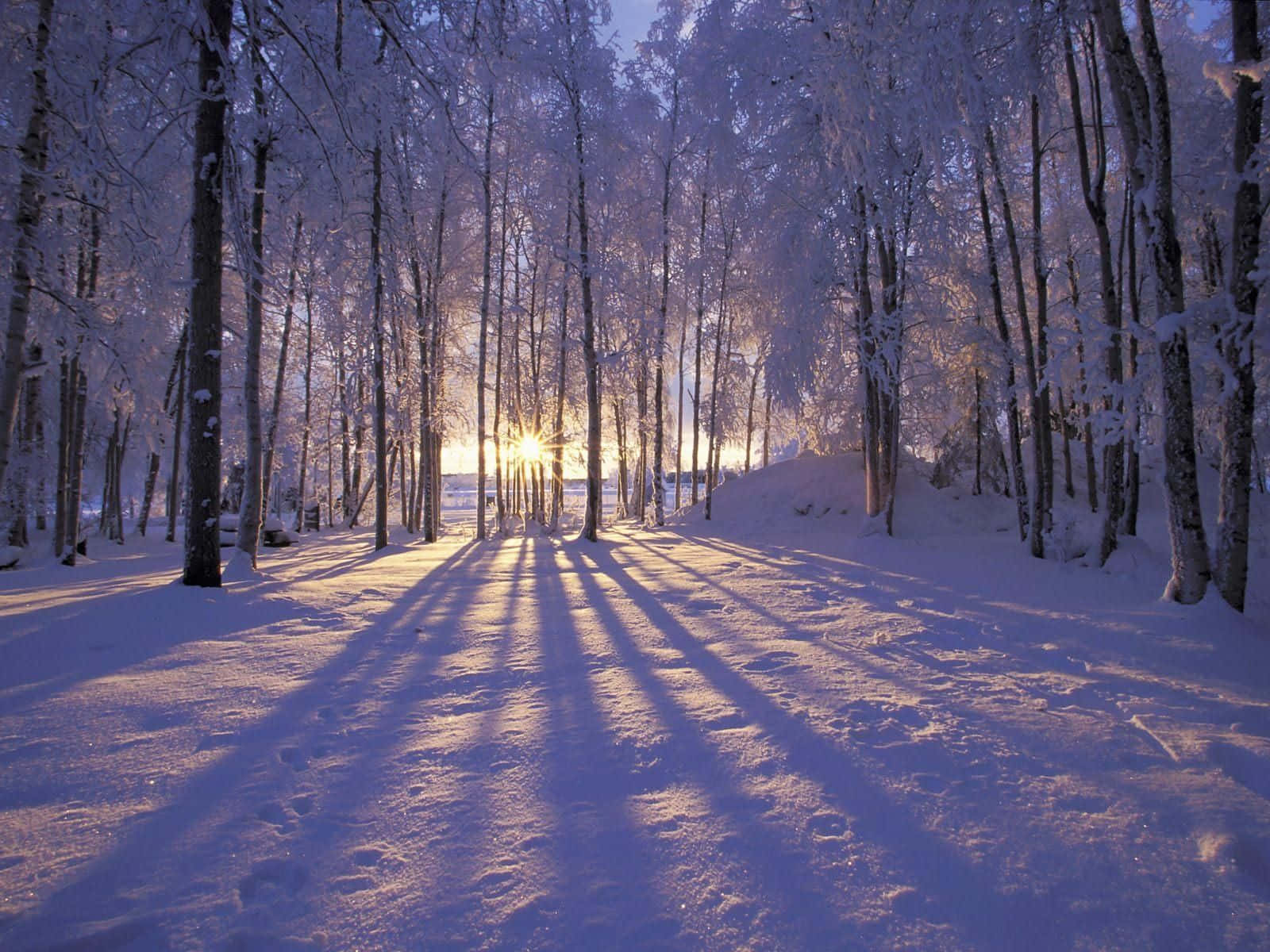 Enjoy The Beauty Of A Pristine Winter Morning In New Hampshire Background