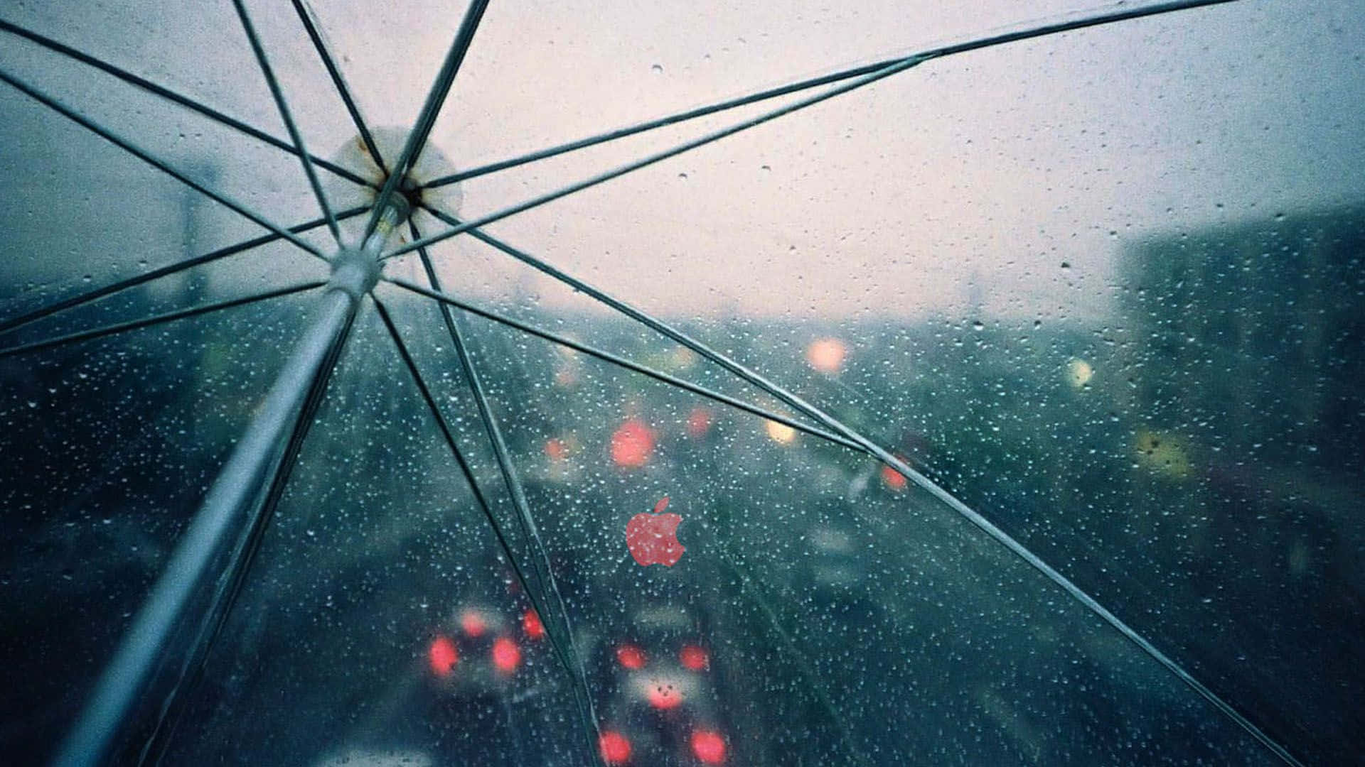 Enjoy The Beauty Of A Rainy Day.