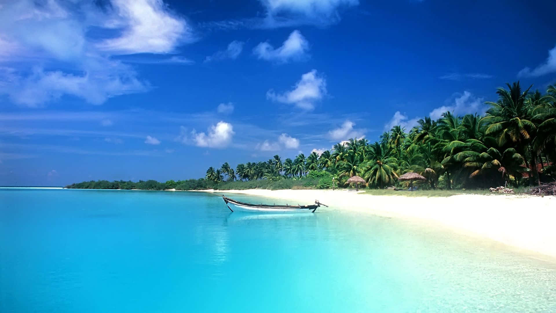 Enjoy The Beauty Of A Serene Beach Paradise Background