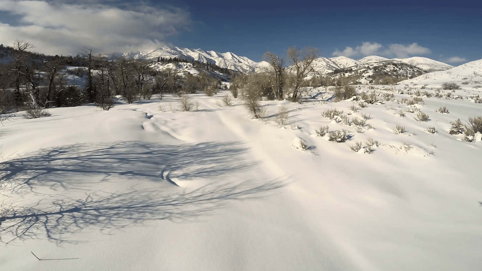 Enjoy The Beauty Of A Snowy Winter Day Background