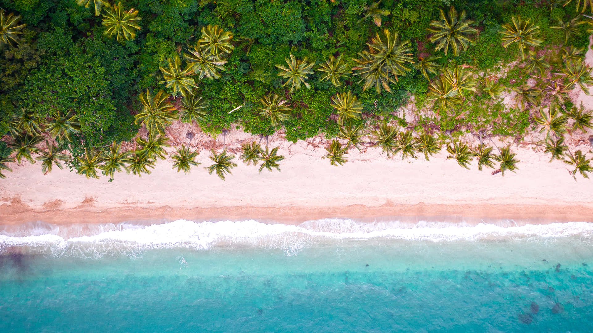 Enjoy The Beauty Of A Sunset At This Idyllic Hi-res Beach Background