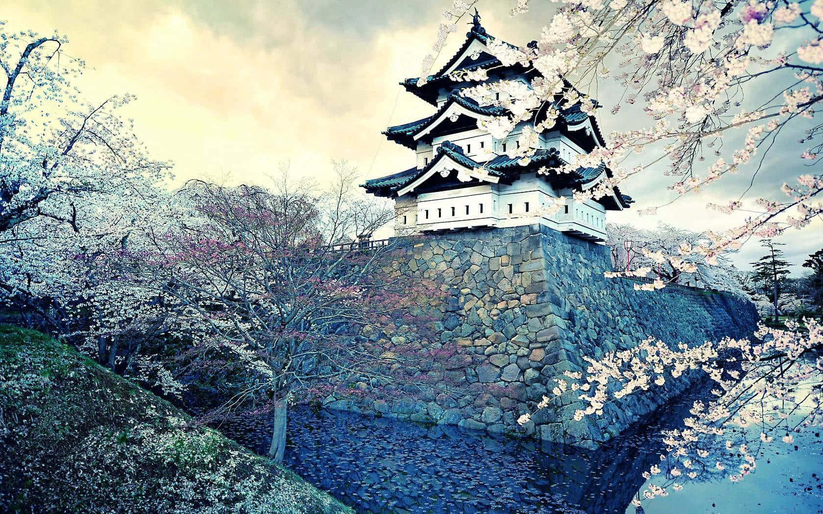Enjoy The Beauty Of A Traditional Japanese Desktop Background Background