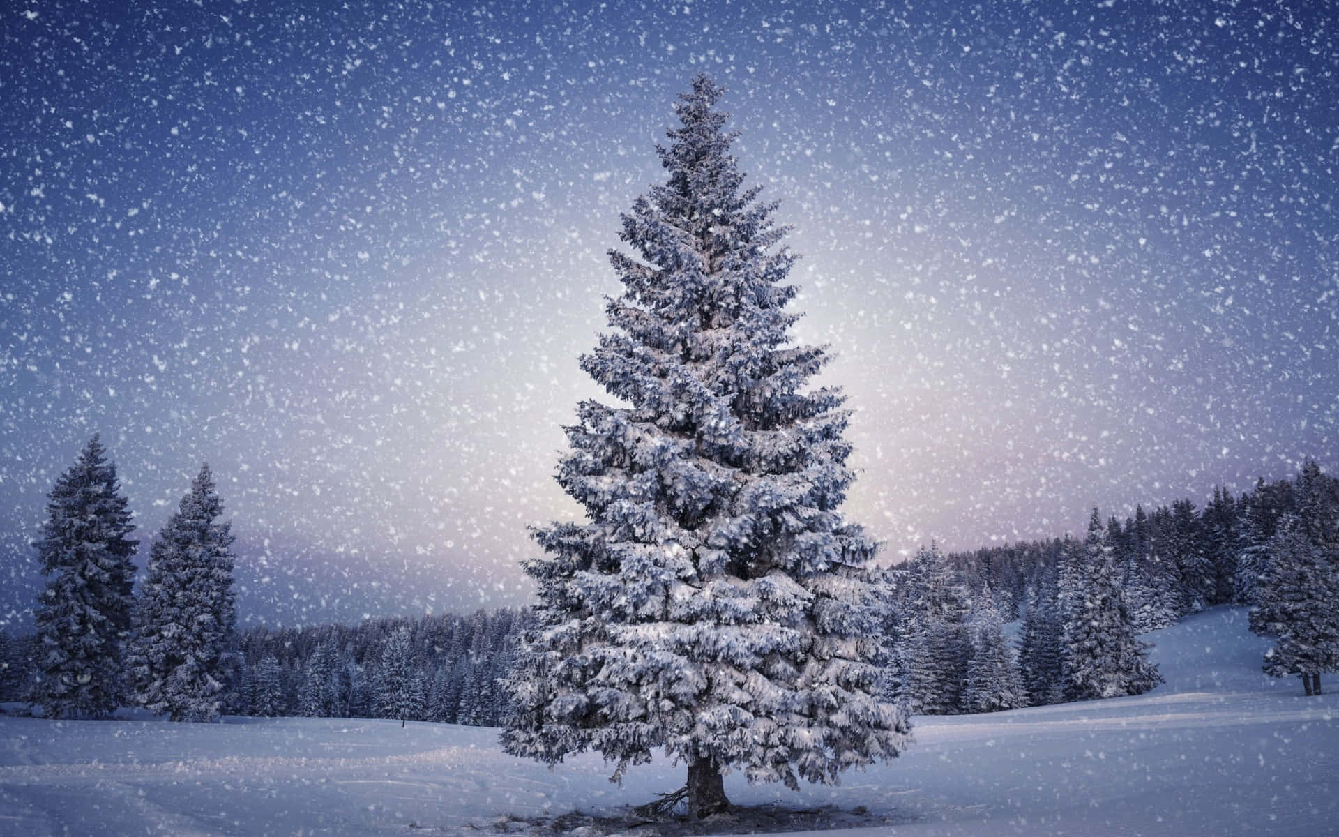 Enjoy The Beauty Of A White Christmas As Snow Blankets The Landscape Background