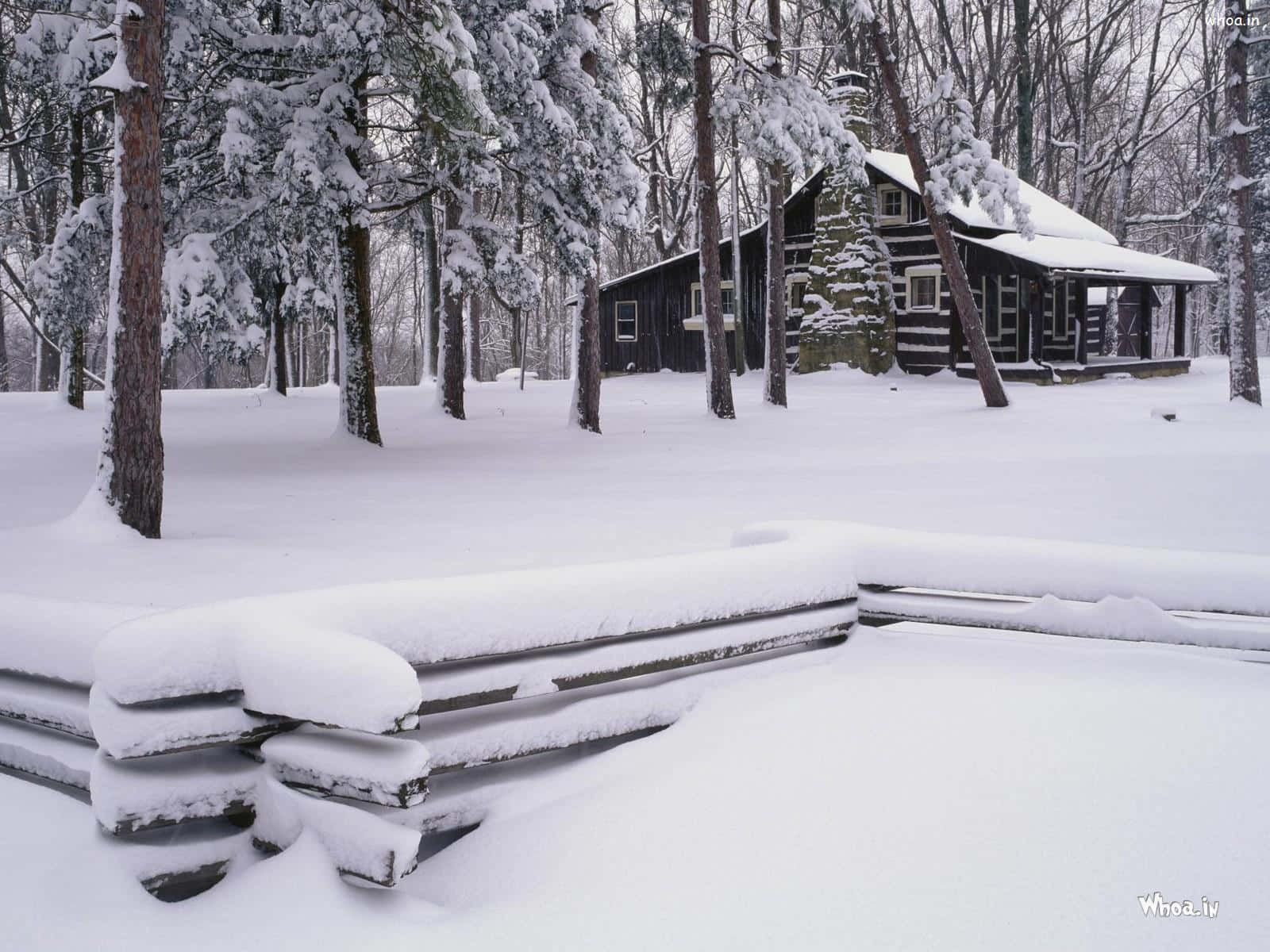 Enjoy The Beauty Of A Winter Night With A Snowfall Background