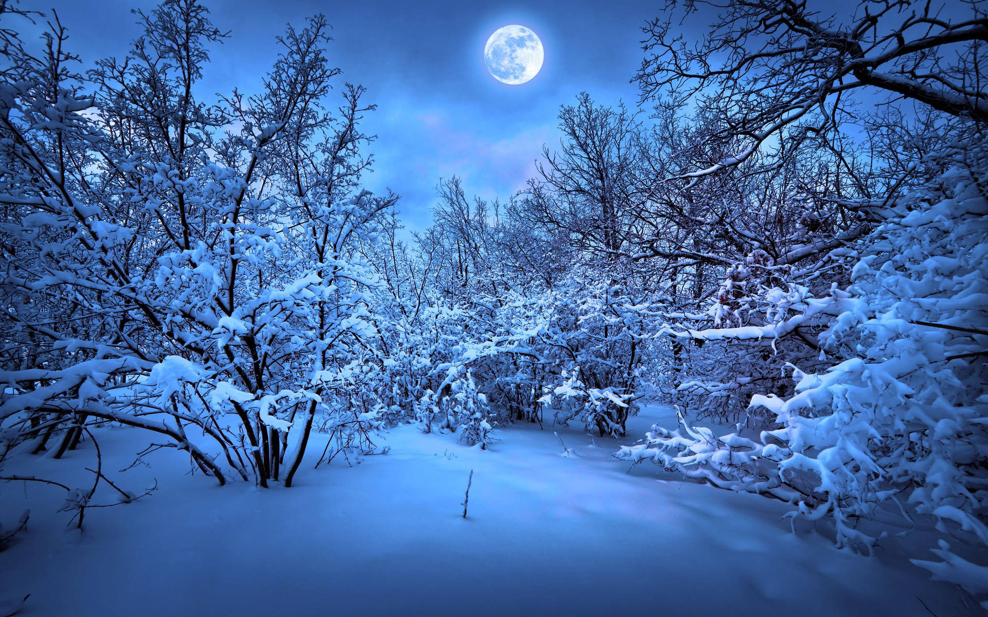 Enjoy The Beauty Of A Winter Wonderland With Snow Desktop Background