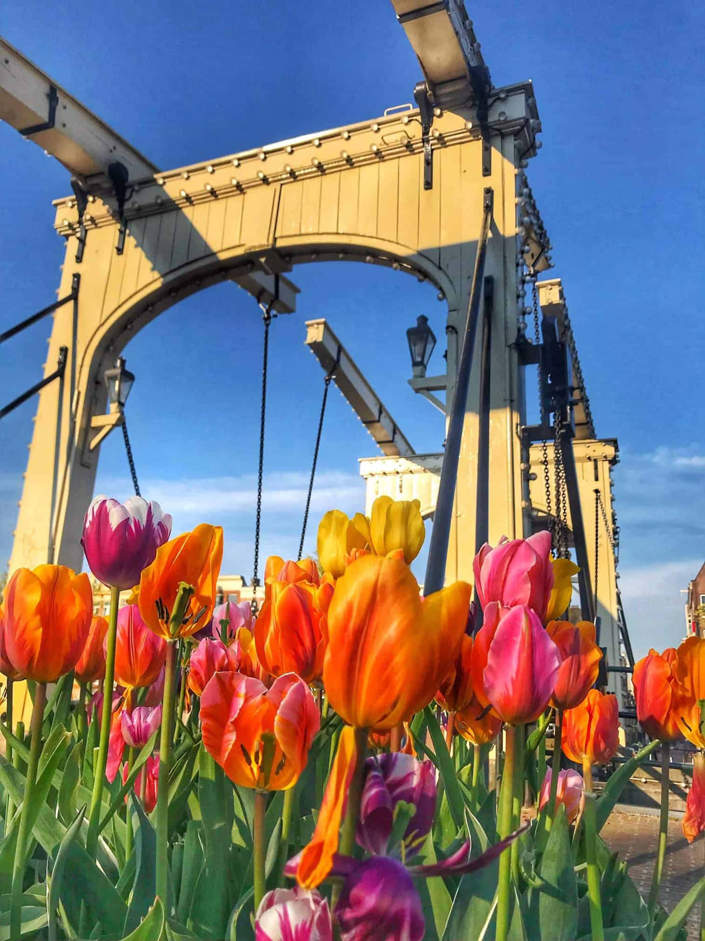 Enjoy The Beauty Of Amsterdam During Spring Background