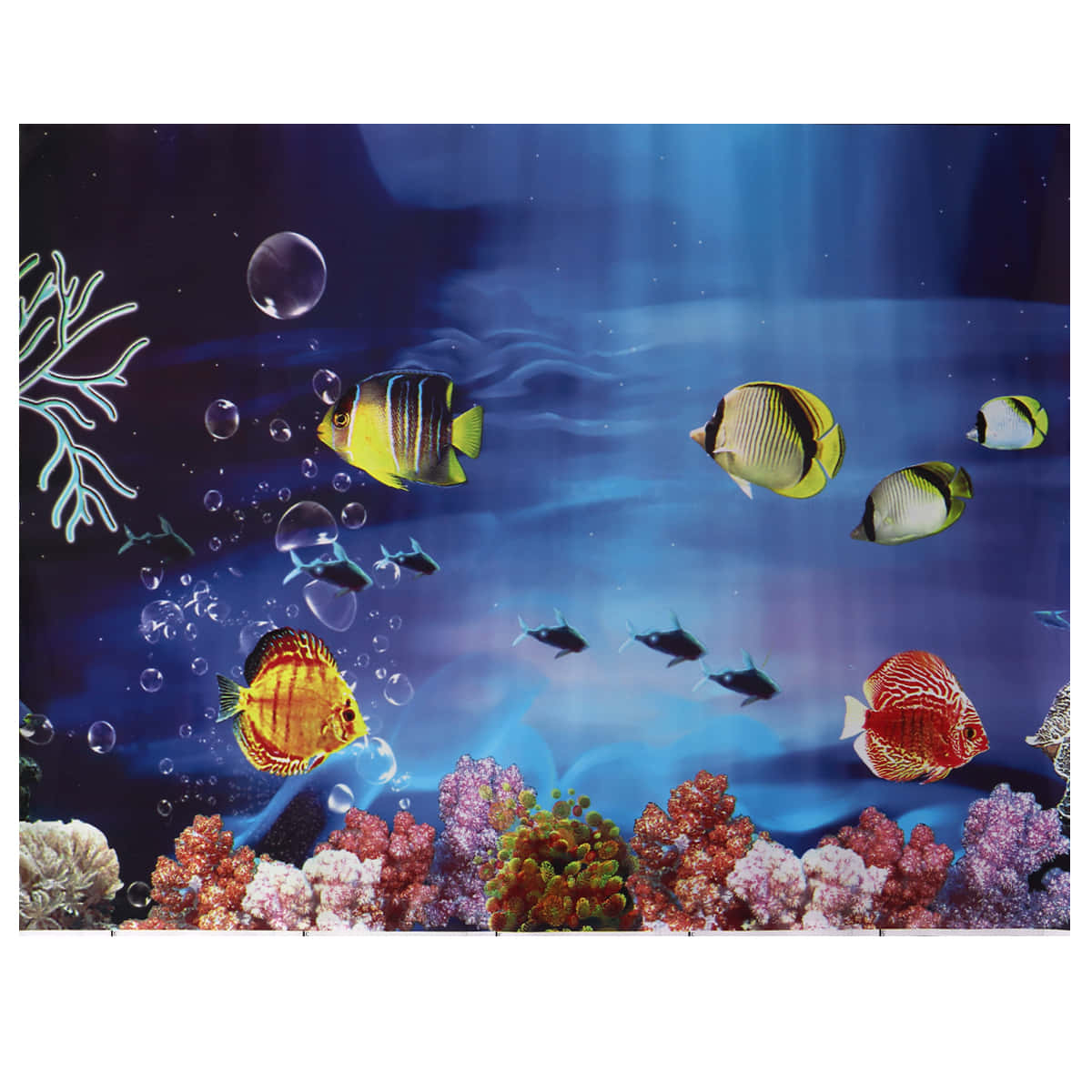 Enjoy The Beauty Of An Aquarium Fish Tank Background