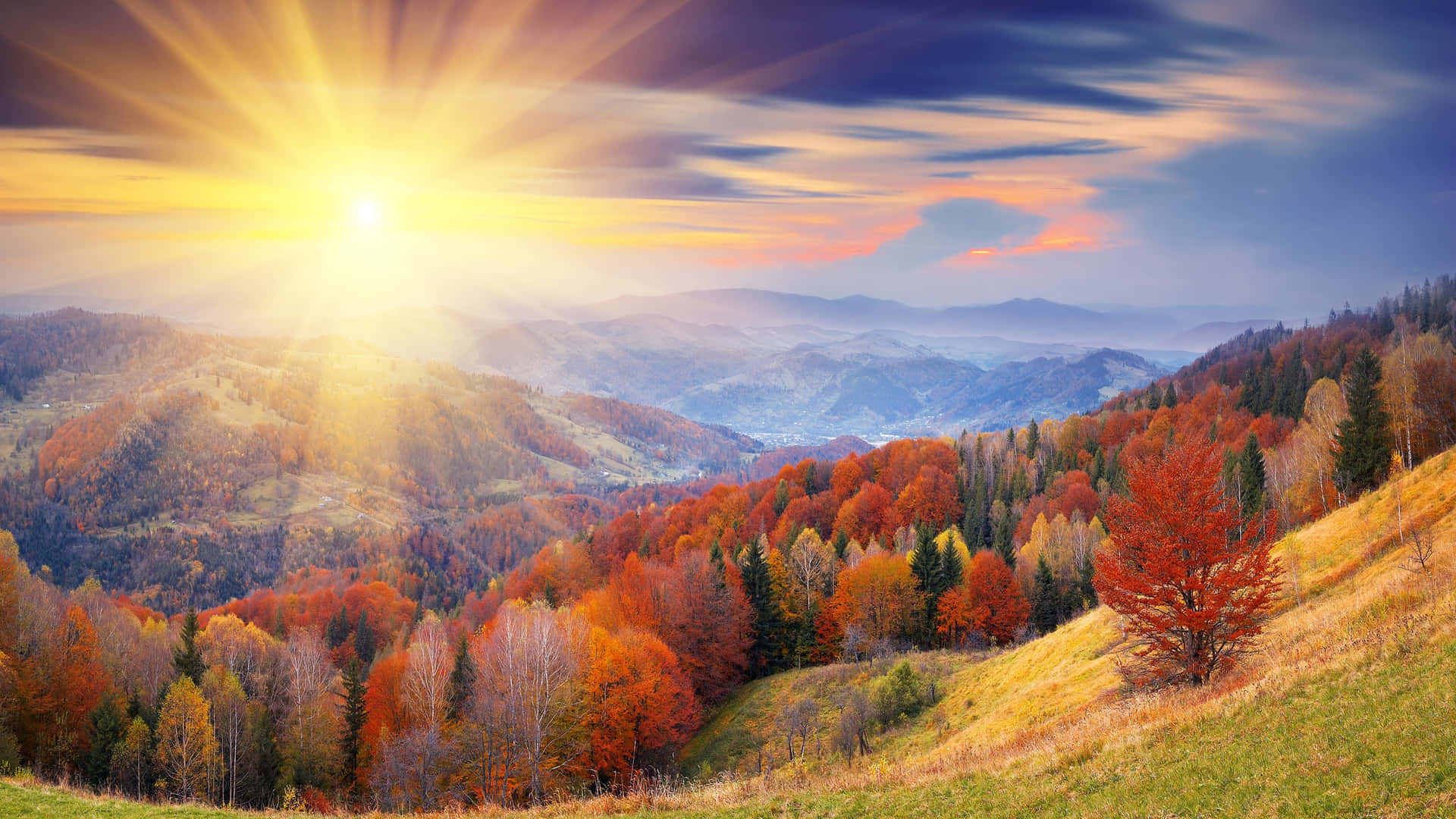 Enjoy The Beauty Of Autumn In This Stunning 4k Wallpaper Background