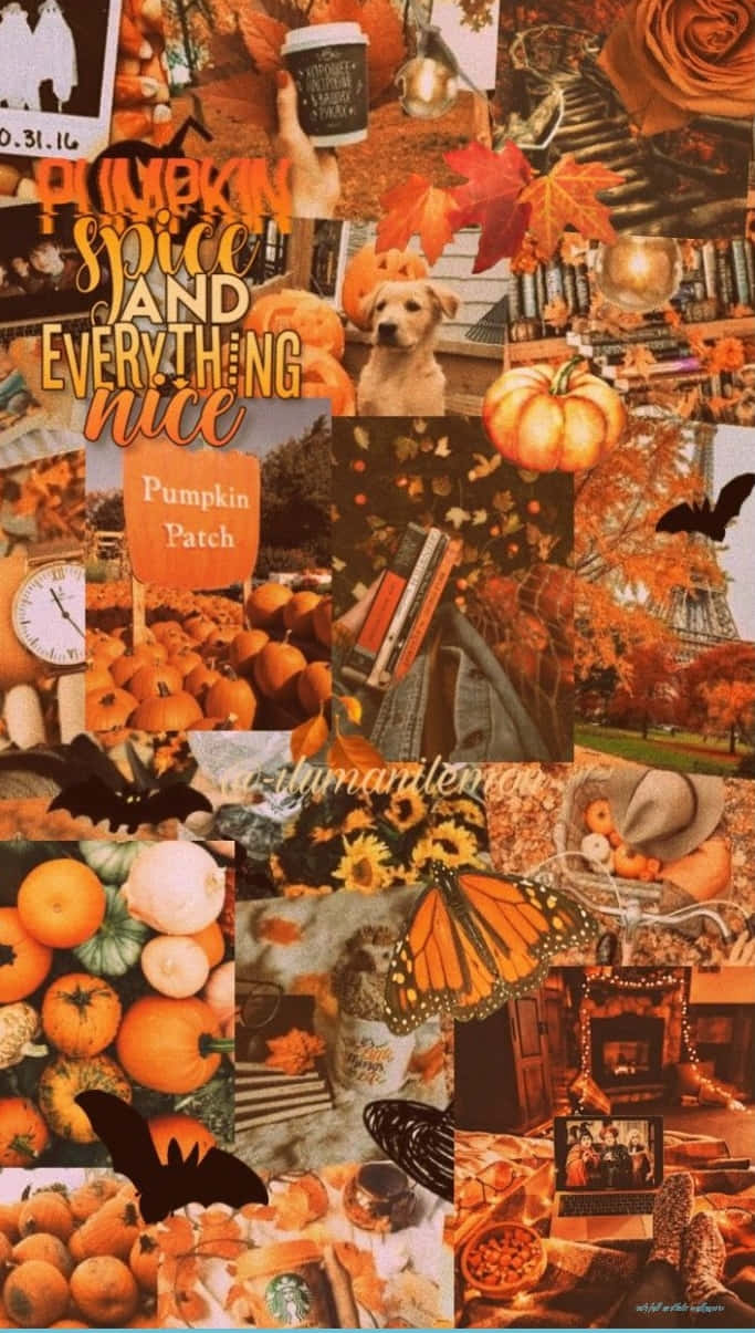 Enjoy The Beauty Of Autumn With This Colorful Autumn Collage! Background
