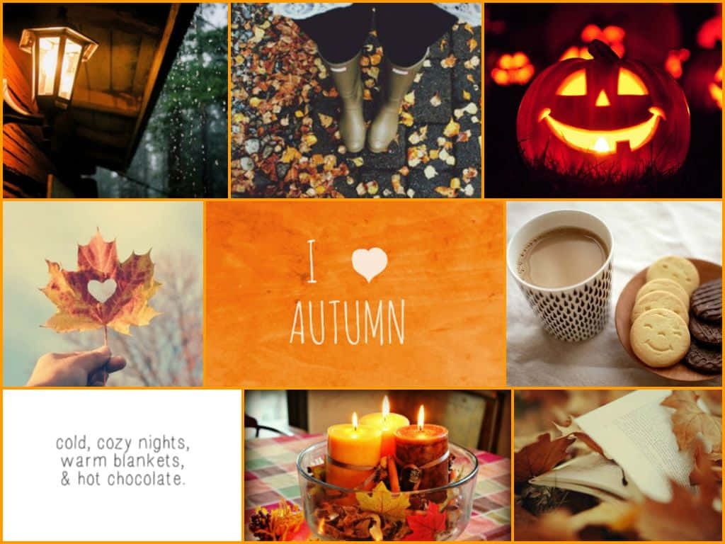 Enjoy The Beauty Of Autumn With This Gorgeous Fall Collage Desktop Wallpaper.