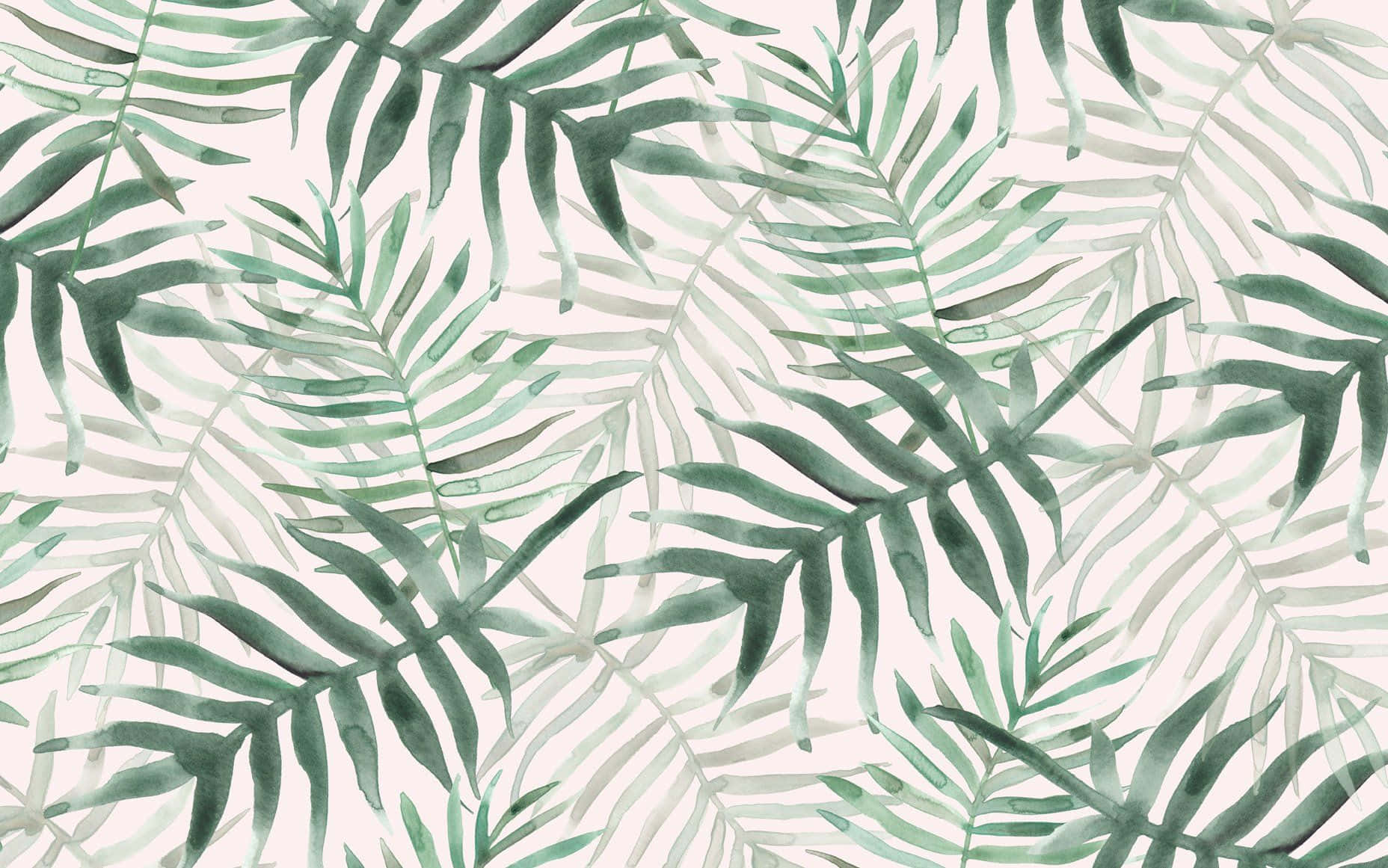 Enjoy The Beauty Of Exotic Tropical Leaves From Your Own Desktop. Background