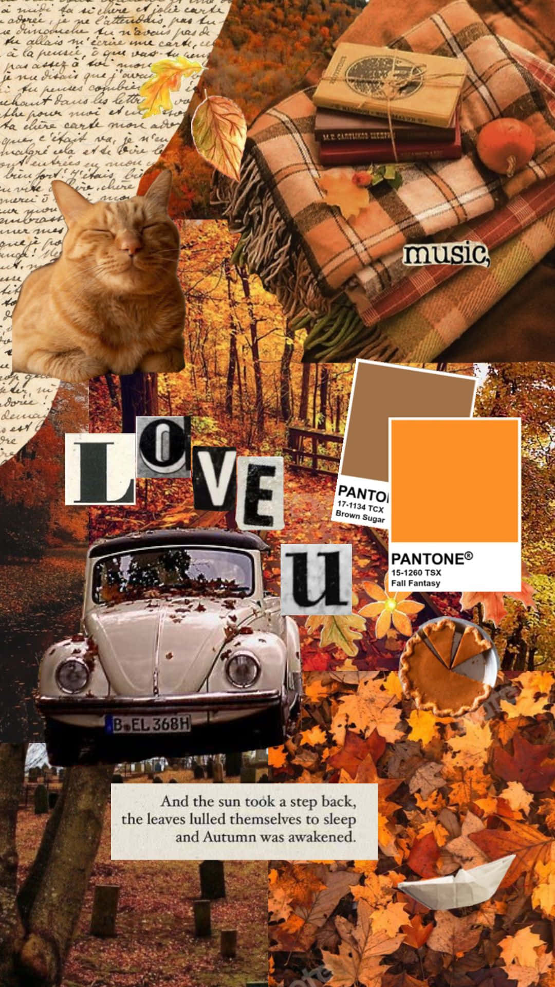 Enjoy The Beauty Of Fall From Your Desktop Background
