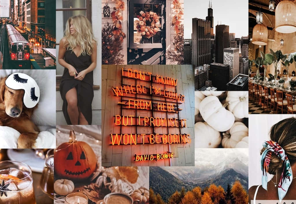 Enjoy The Beauty Of Fall With A Gorgeous Desktop Wallpaper