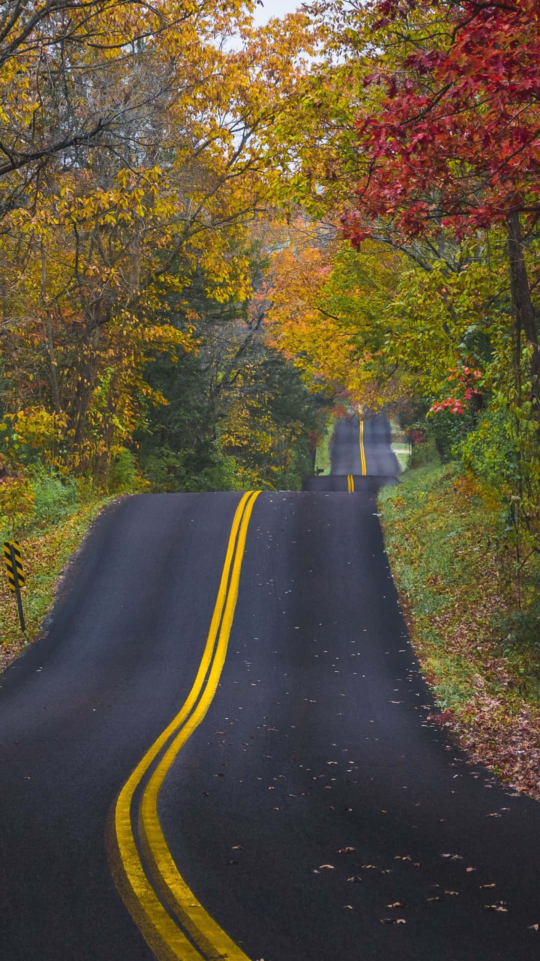 Enjoy The Beauty Of Fall With The Iphone 6 Plus Background