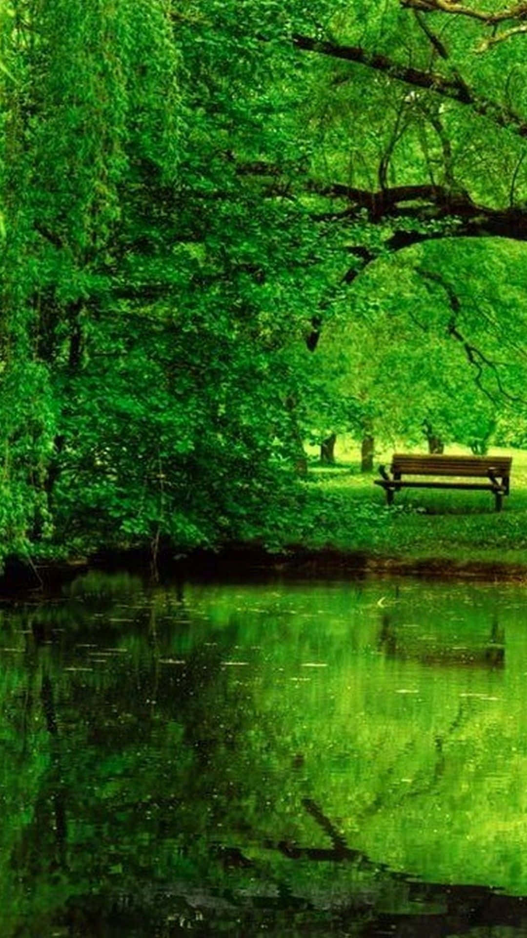 Enjoy The Beauty Of Green Nature With An Iphone Background