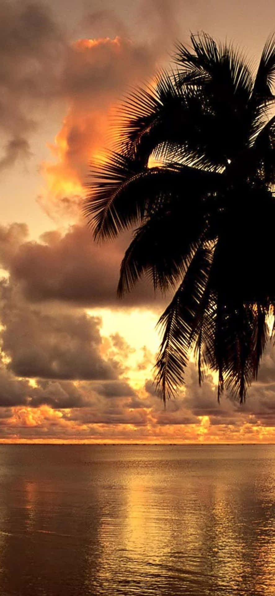 Enjoy The Beauty Of Hawaii With Your Trusty Iphone Background