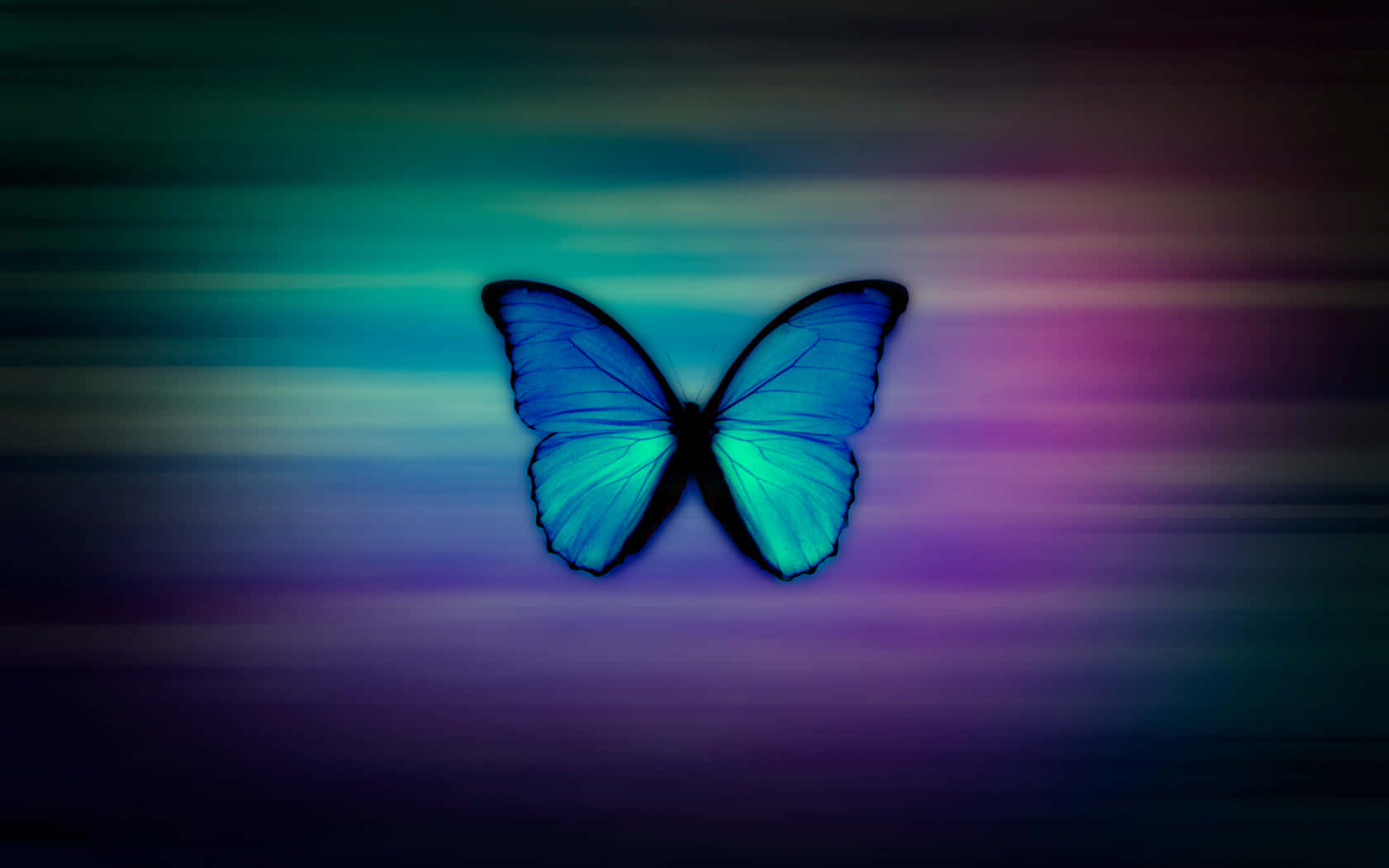 Enjoy The Beauty Of Life With A Butterflies Laptop Background