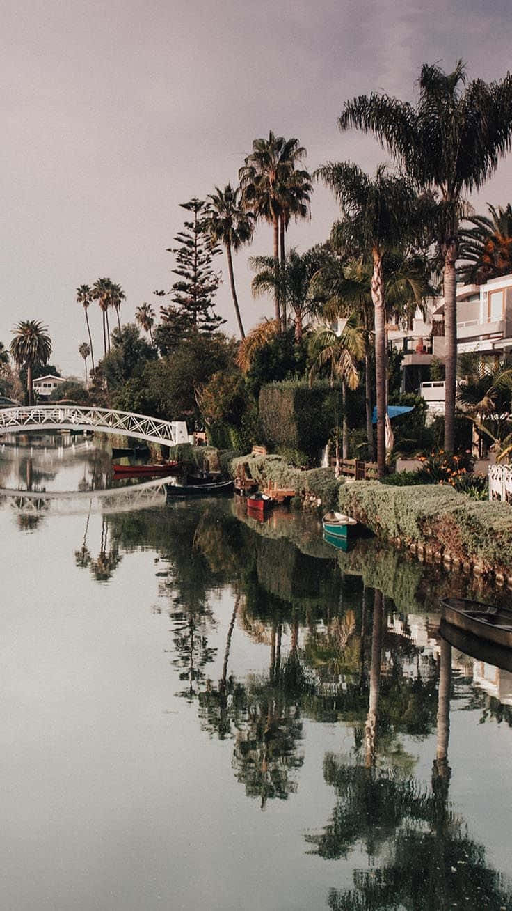 Enjoy The Beauty Of Los Angeles From Your Iphone Background