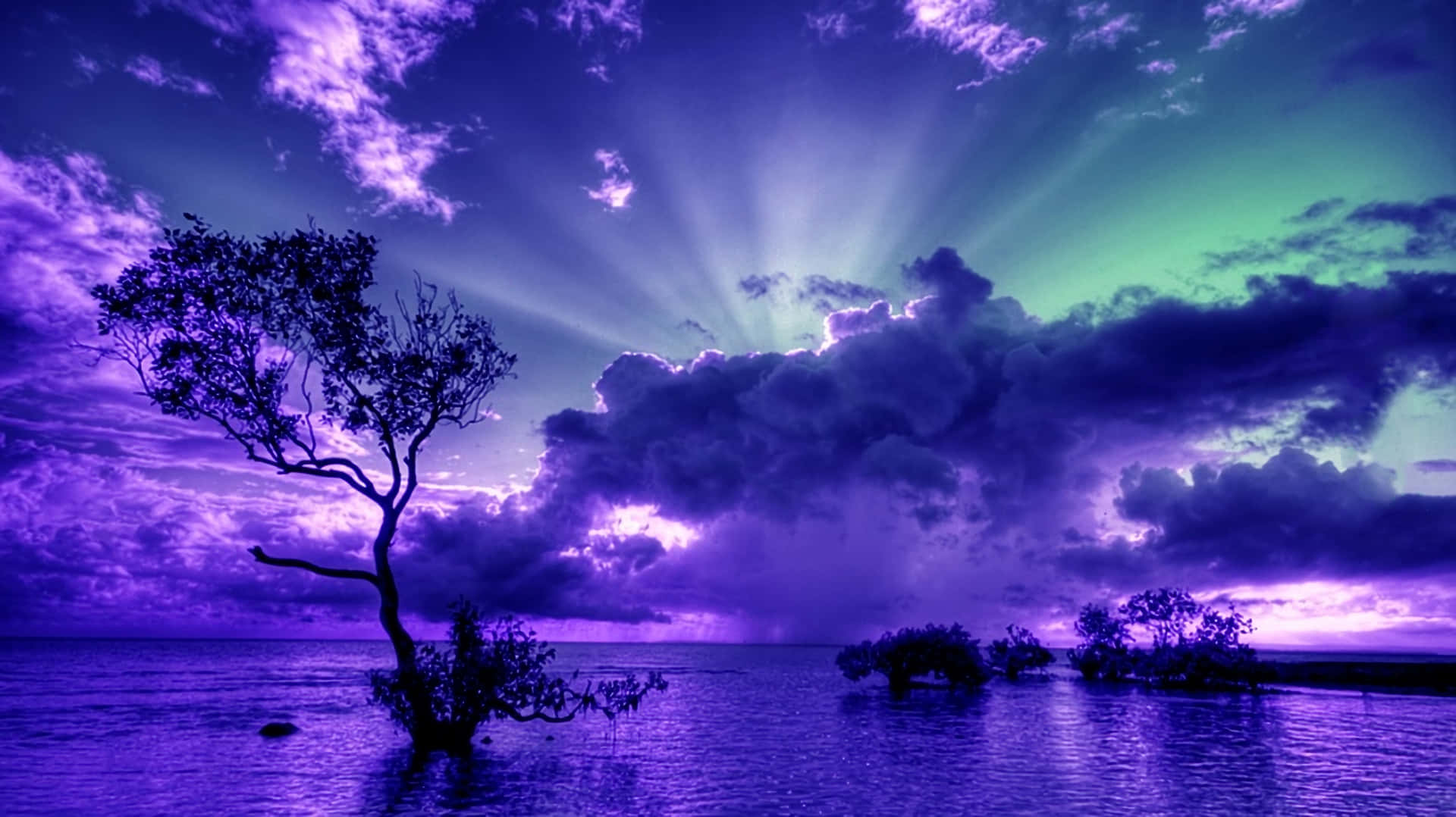 Enjoy The Beauty Of Nature As The Sky Above Is Illuminated In A Stunning Array Of Blue And Purple During Sunset. Background