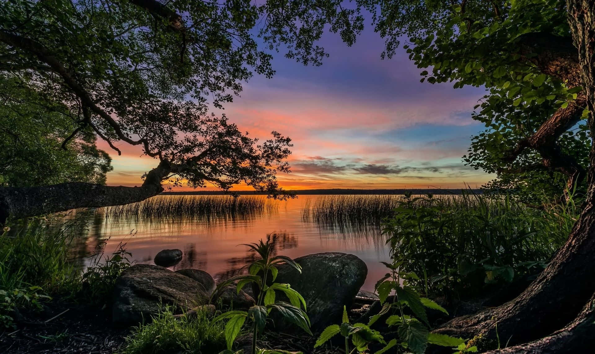 Enjoy The Beauty Of Nature At This Serene Lake. Background
