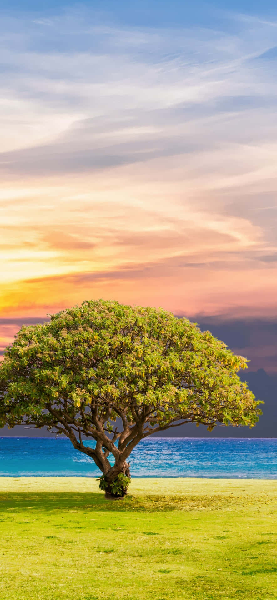 Enjoy The Beauty Of Nature In All Its Majesty Background