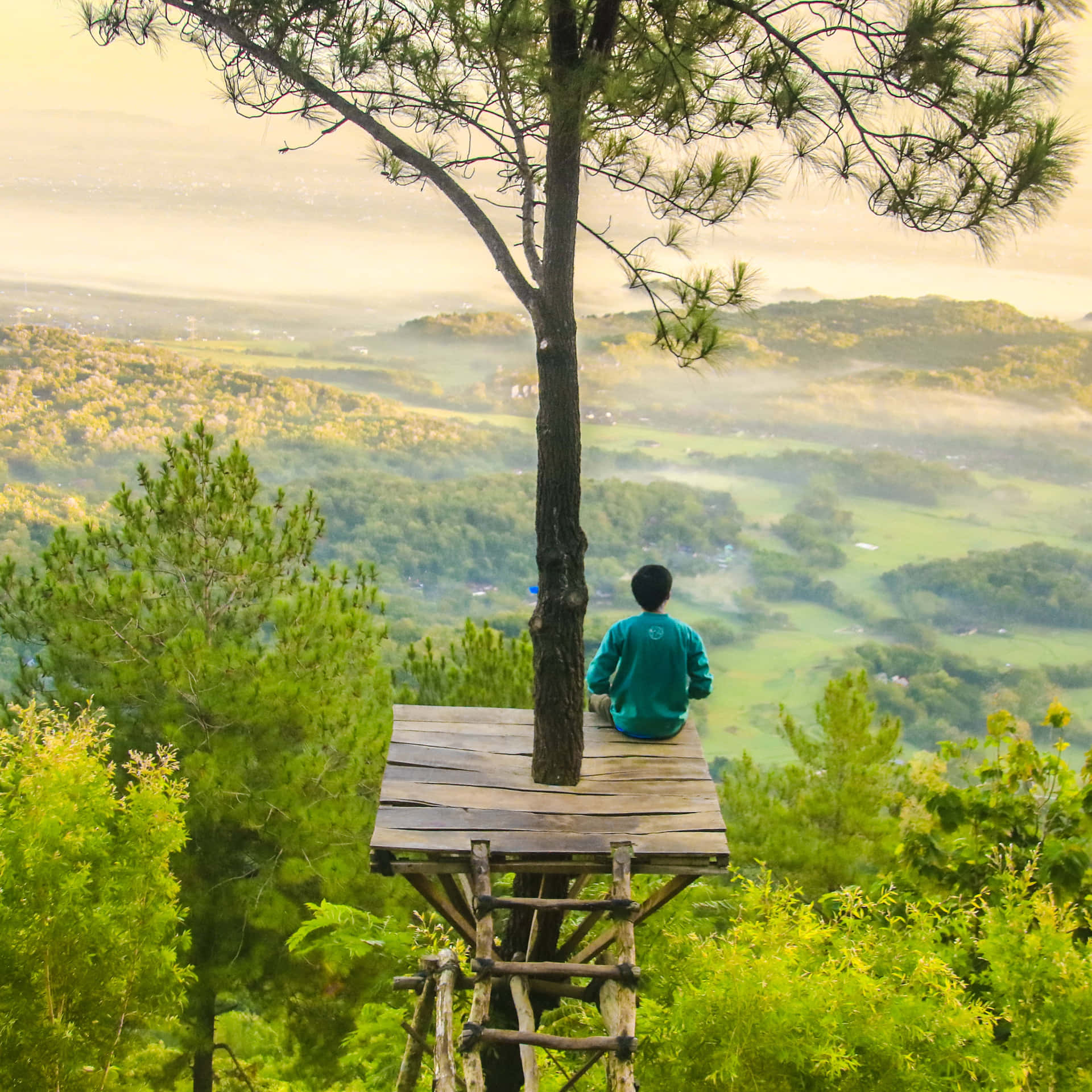 Enjoy The Beauty Of Nature Background