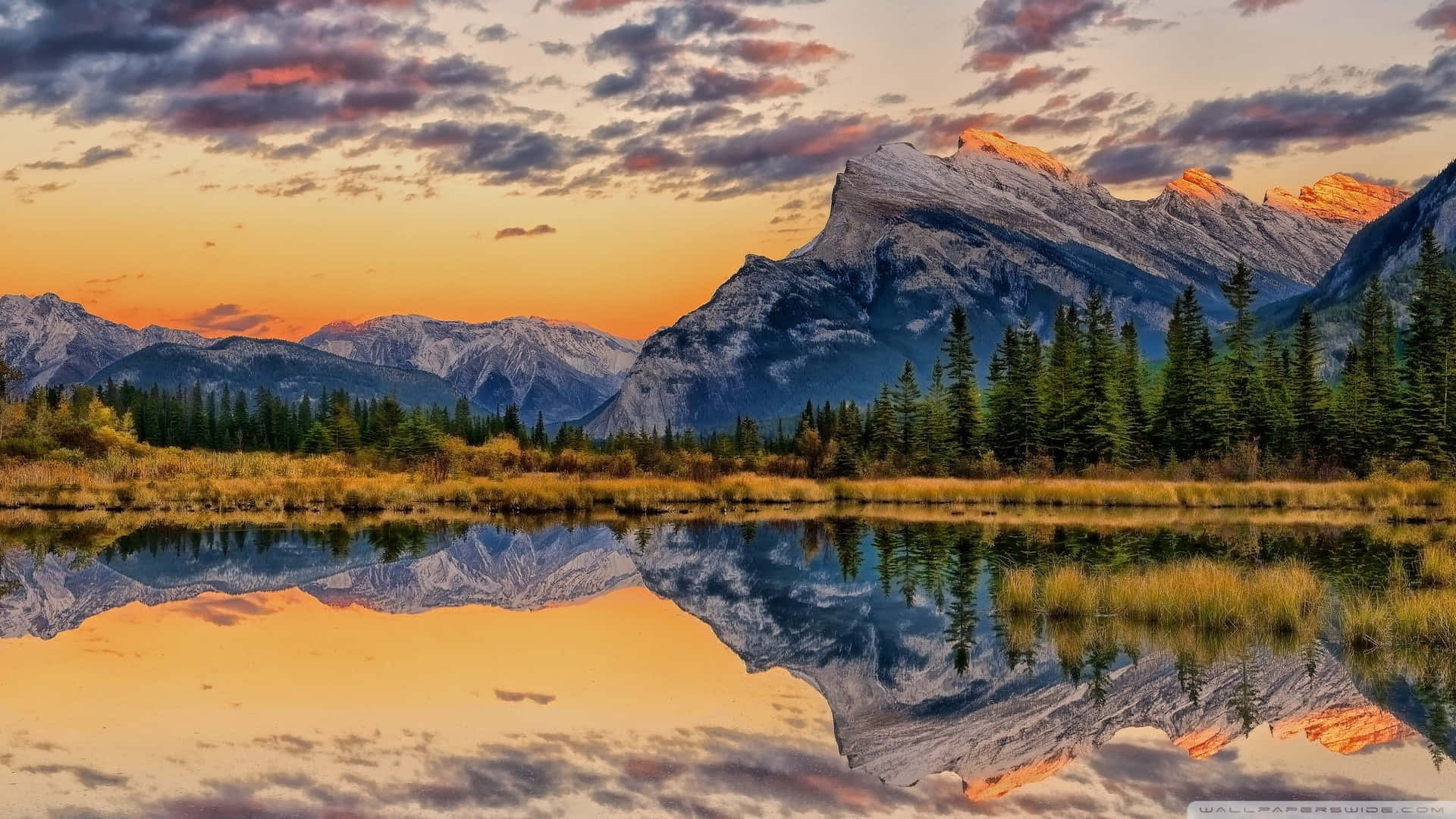 Enjoy The Beauty Of Nature On Your Desktop Background